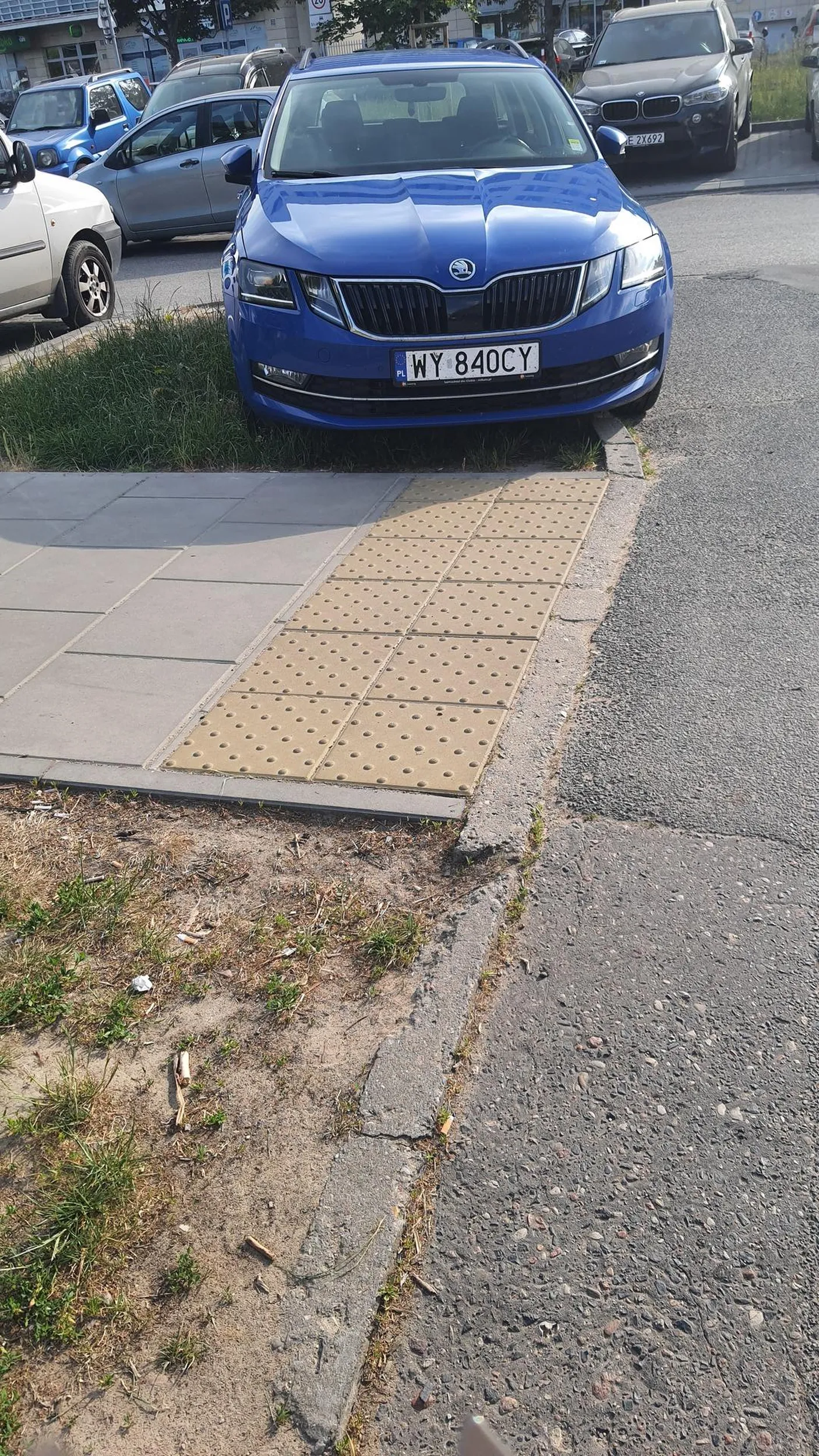 Parkowanie na trawie