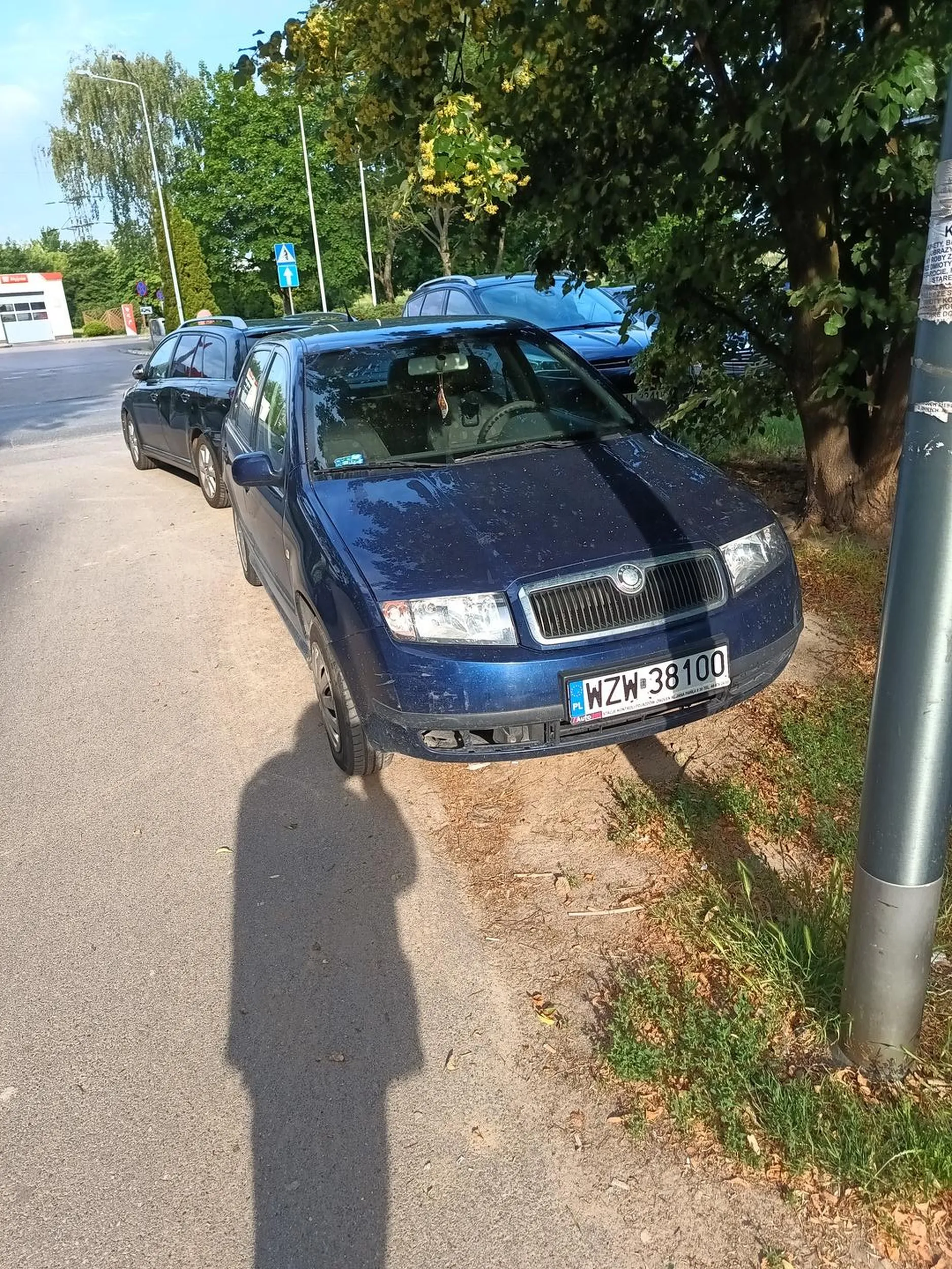 Cham parkuje na zieleni miejskiej, niszczy trawnik, butami wydeptuje w psie kupy
