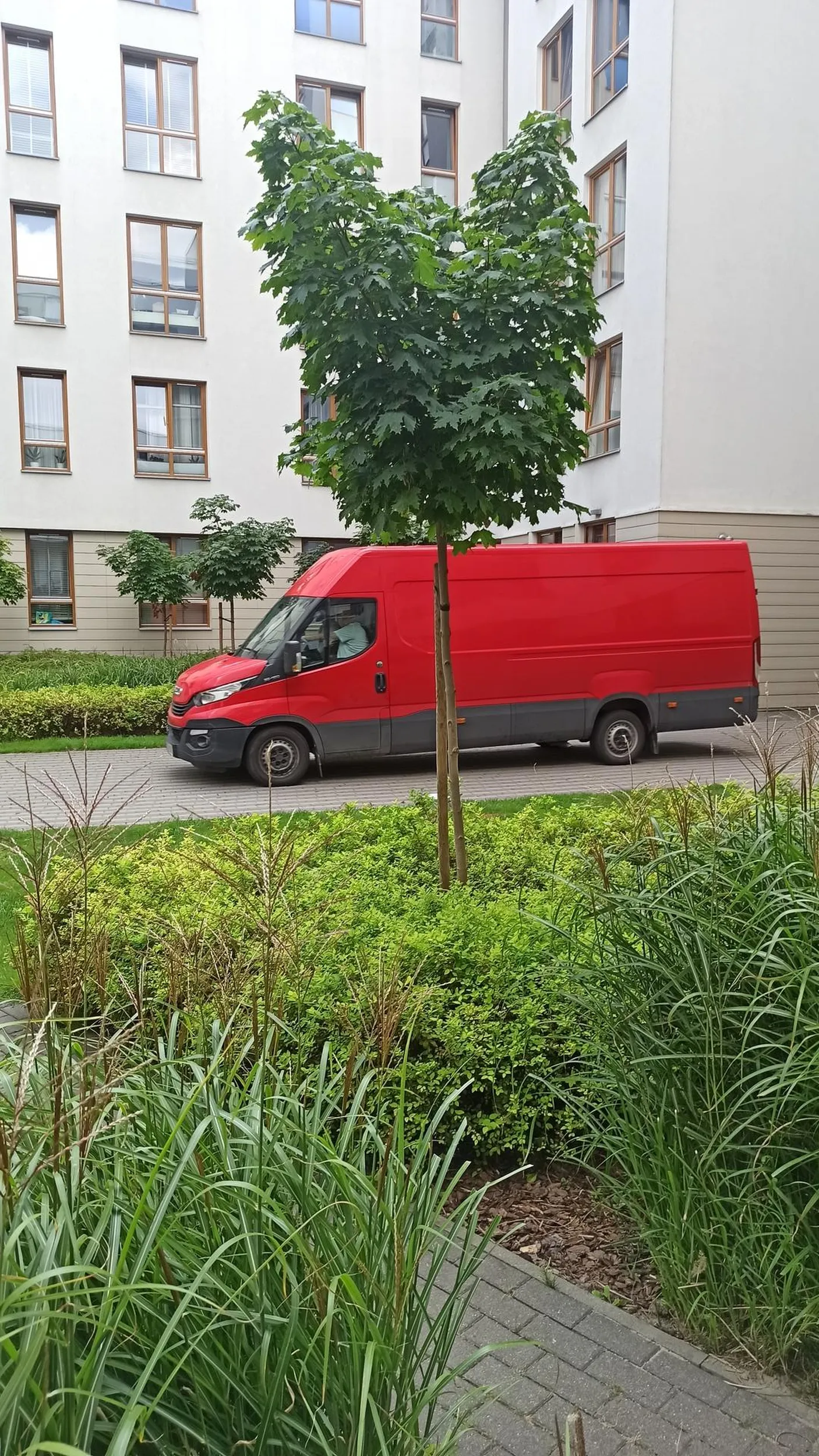 Cofając na zamkniętym osiedlu nie patrzy w lusterka, prawie potrącił pieszych. Po zwróceniu uwagi wyskakuje okularnik z nadwagą i rzuca inwektywy na prawo i lewo. Zalecam ponowne badania wzroku i odstawienie alkoholu na czas pracy.