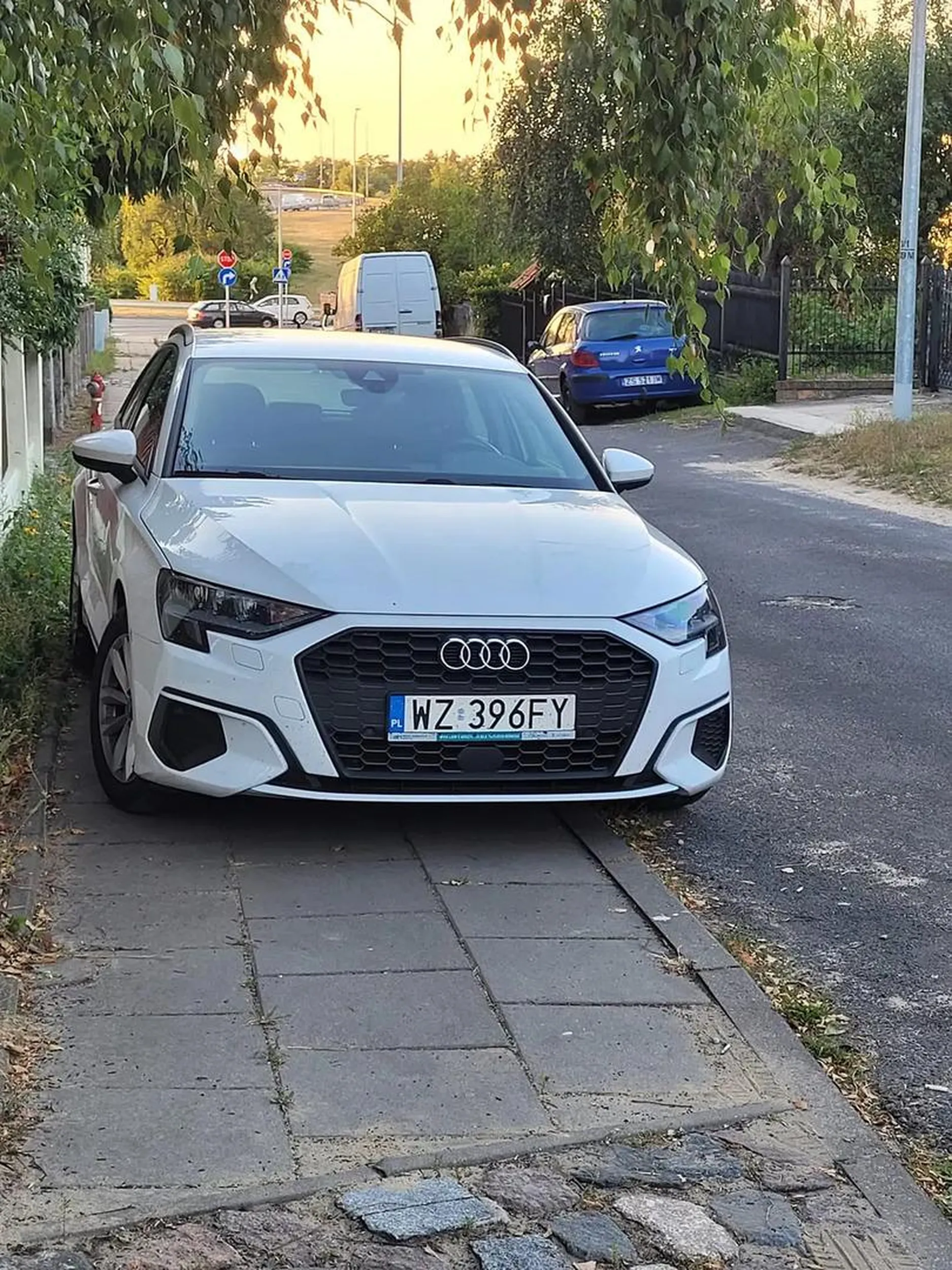 Jak parkujesz patałachu?