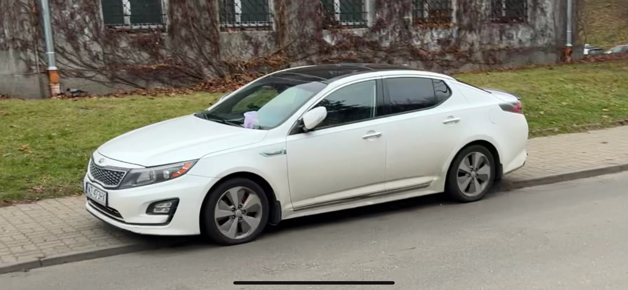 Pomijając to że parkuje na zakazie to jeszcze zaśmieca otoczenie wyrzucając na trawnik torebkę foliową. Nic rodzice kultury nie nauczyli.