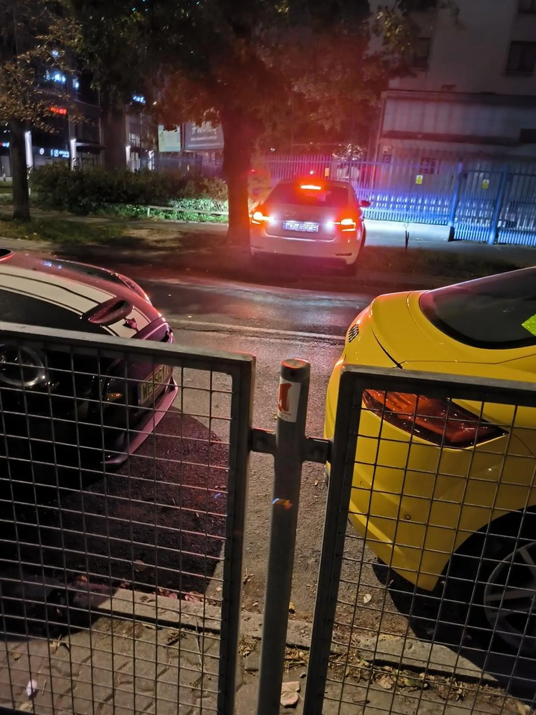 Parkowanie na trawniku, no gratuluję