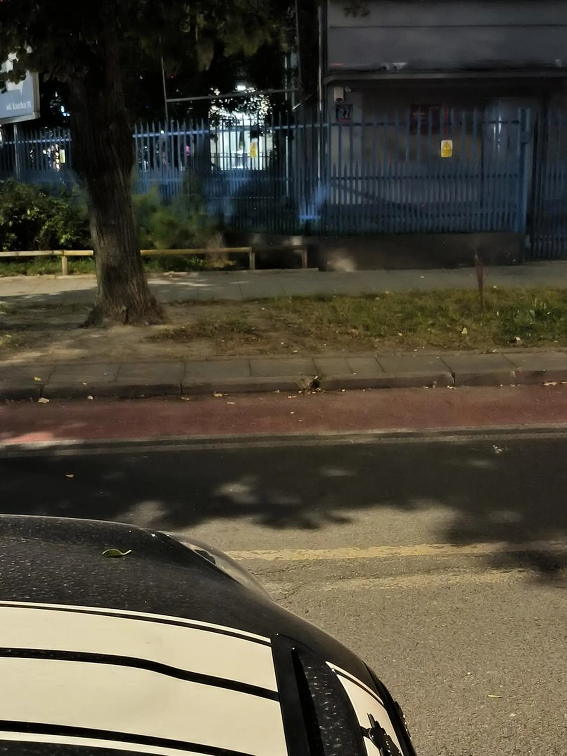 Parkowanie na trawniku, no gratuluję