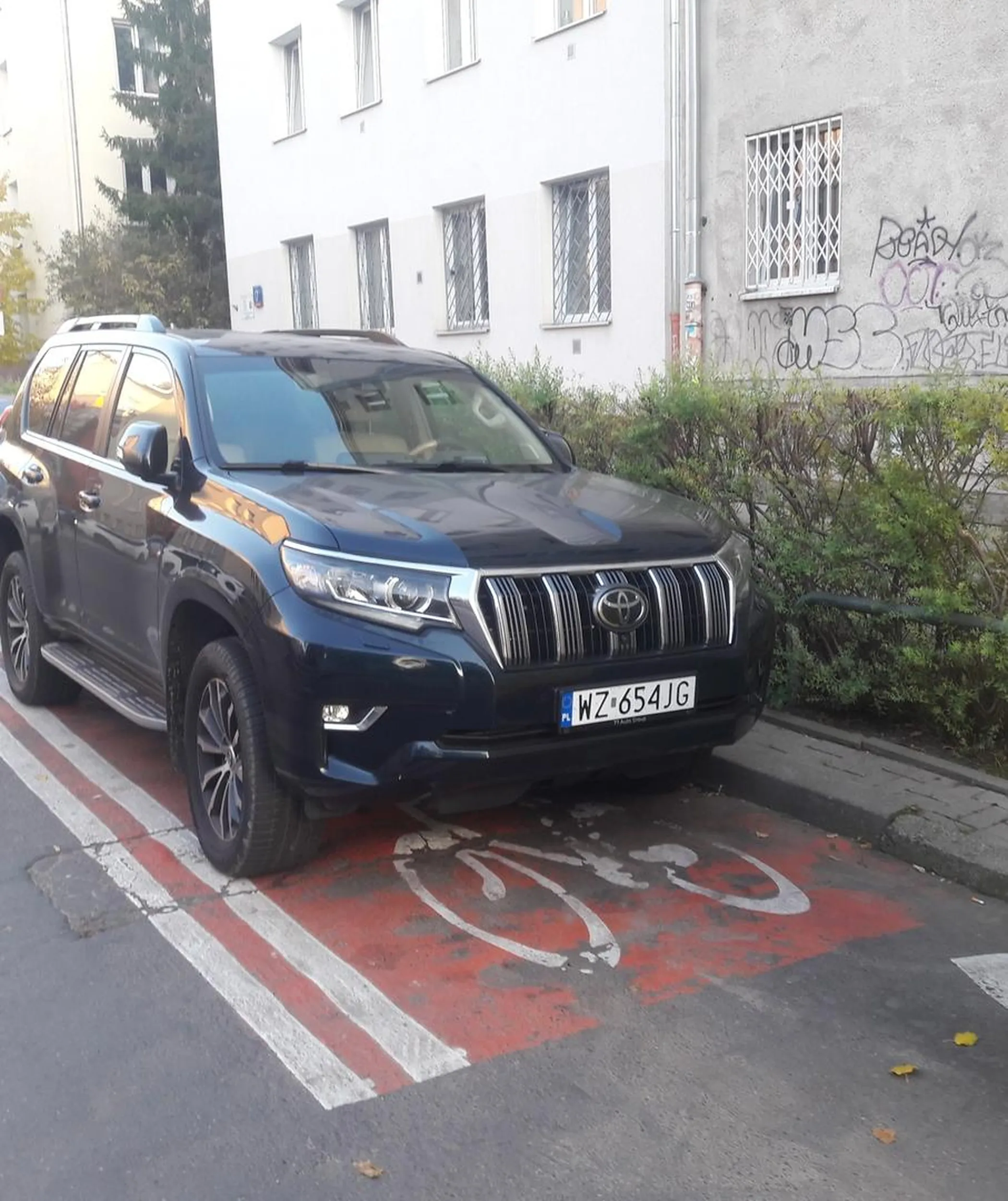 Kierowca powinien udać się do okulisty, skoro nie widzi znaków poziomych i parkuje centralnie na pasie dla rowerów.