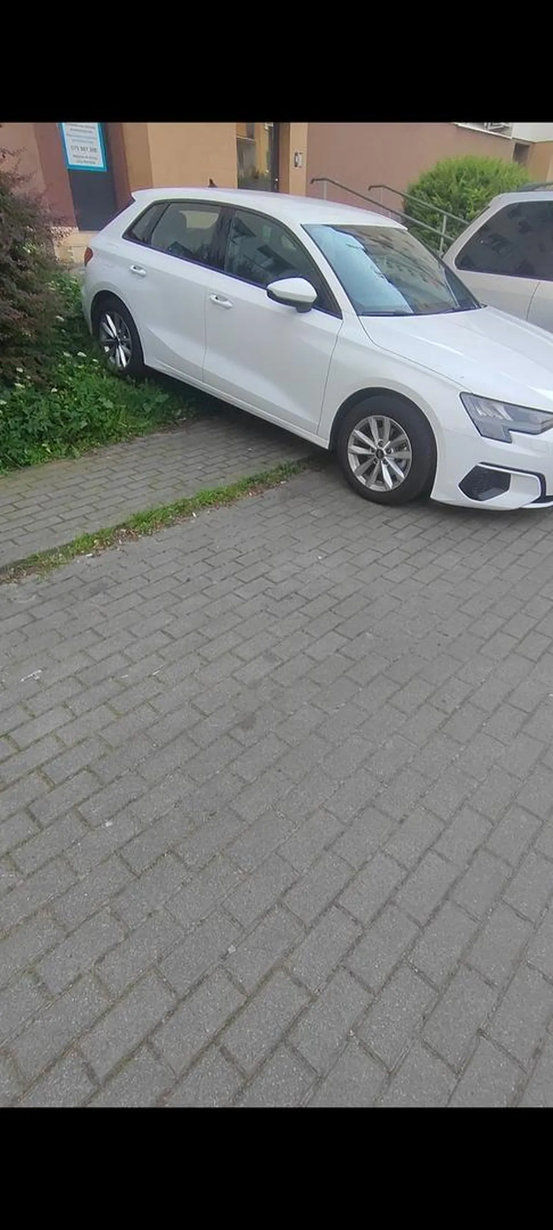 Warszawka, w pól na chodnim i jeszcze trawnik na podwyzszeniu