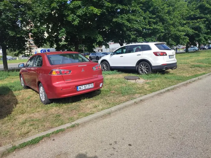 Nie pozdrawiam kierowcy, co parkuje na zieleni.