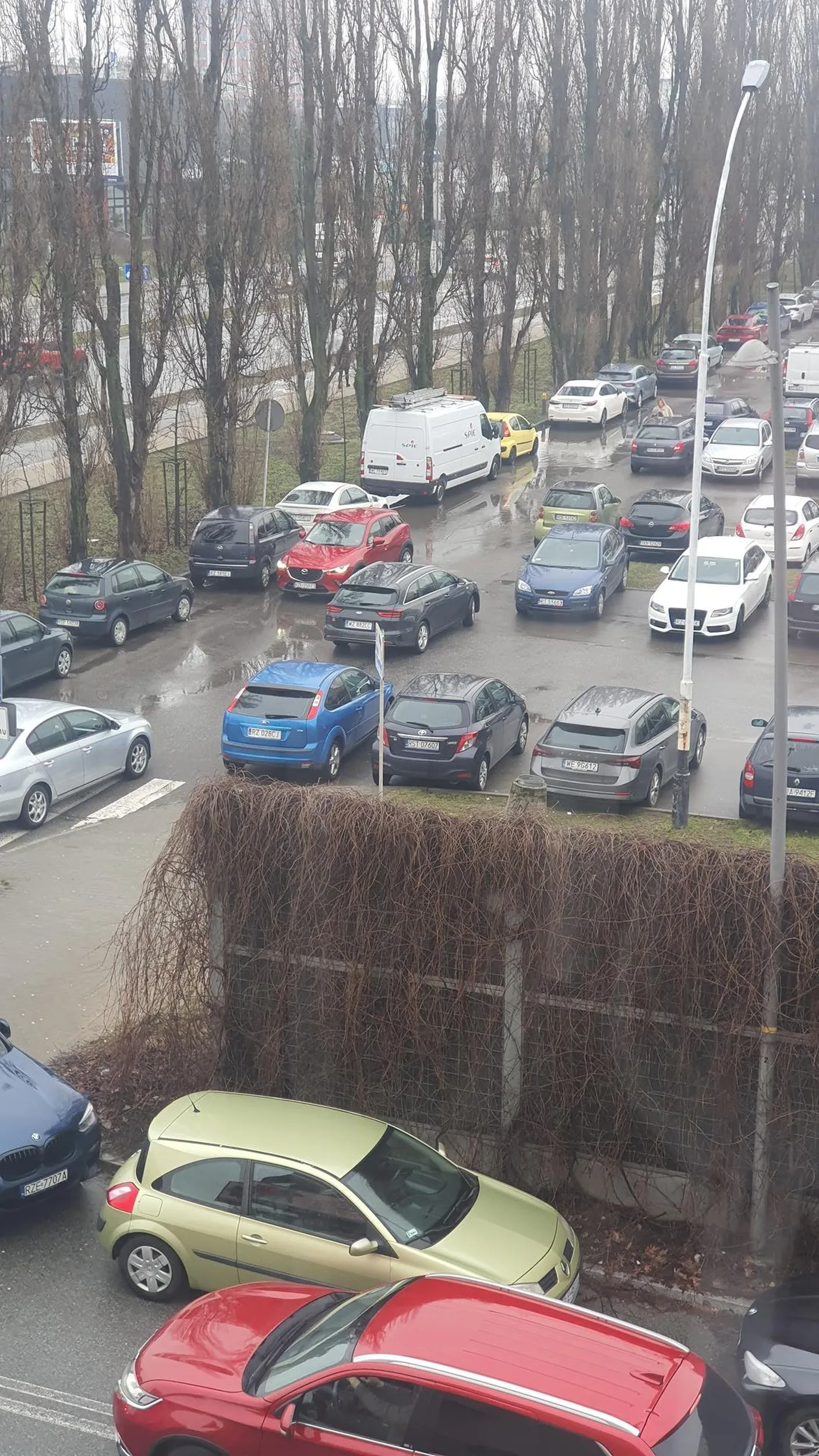 Jak nie ma wolnego miejsca na parkingu to można stanąć na środku i pójść sobie na zakupy, w czym problem?