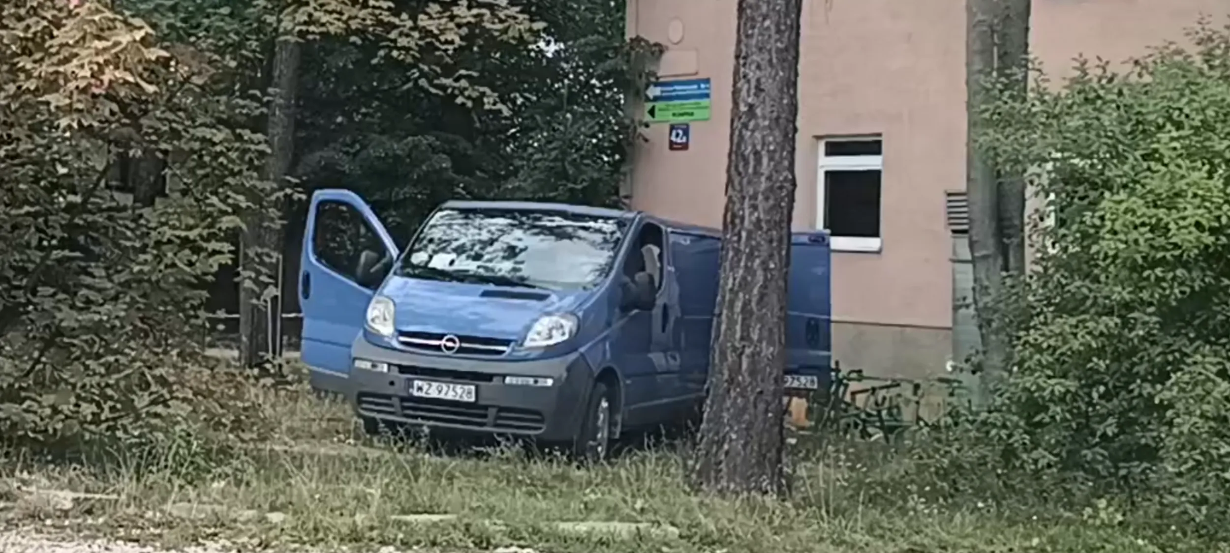 Miedzy drzewami to sie szuka grzybów a nie parkuje się, Wacusiu.