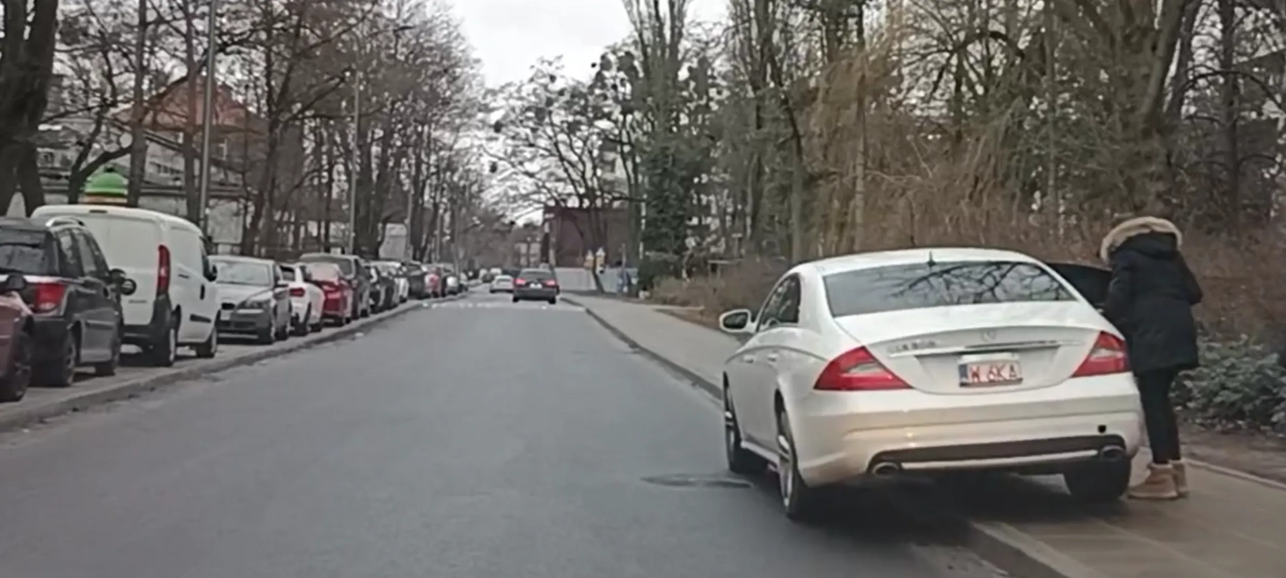 Parkuje na jezdni na chodniku na ulicy z zakazem zatrzymywania się i postoju B-36