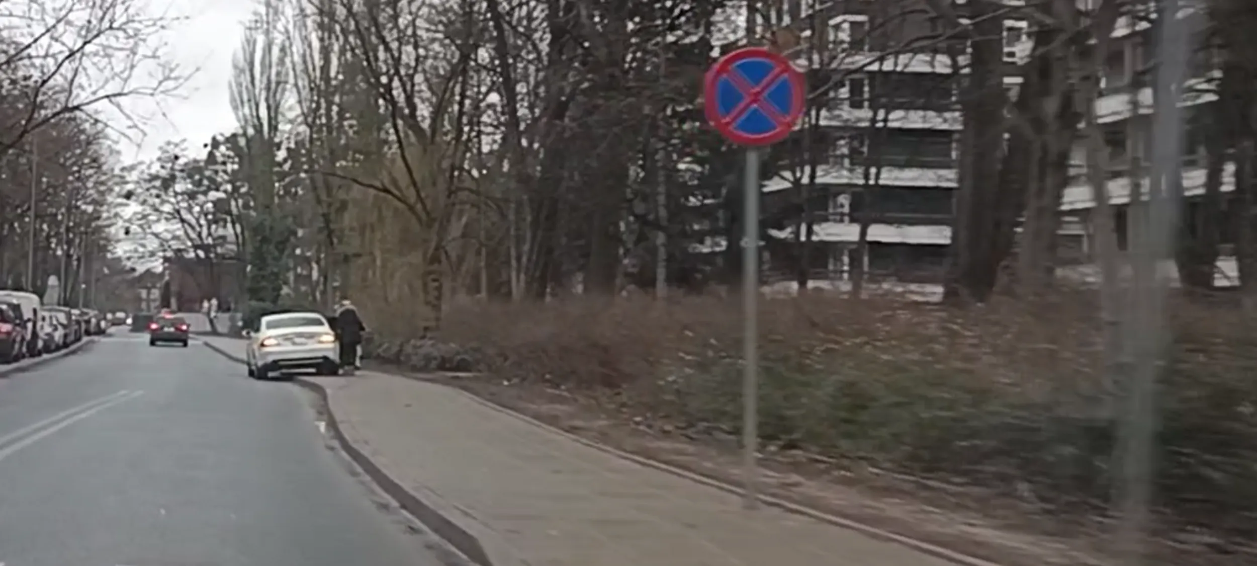 Parkuje na jezdni na chodniku na ulicy z zakazem zatrzymywania się i postoju B-36