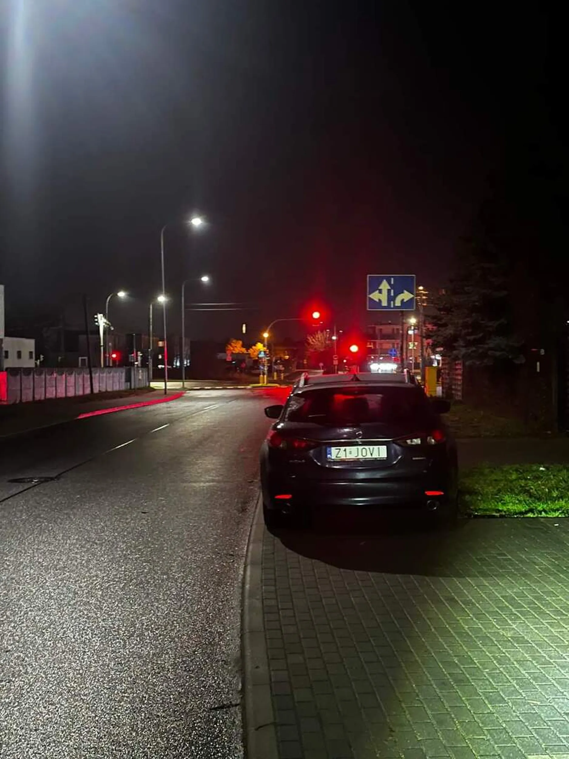 Gamoniu naucz się parkować