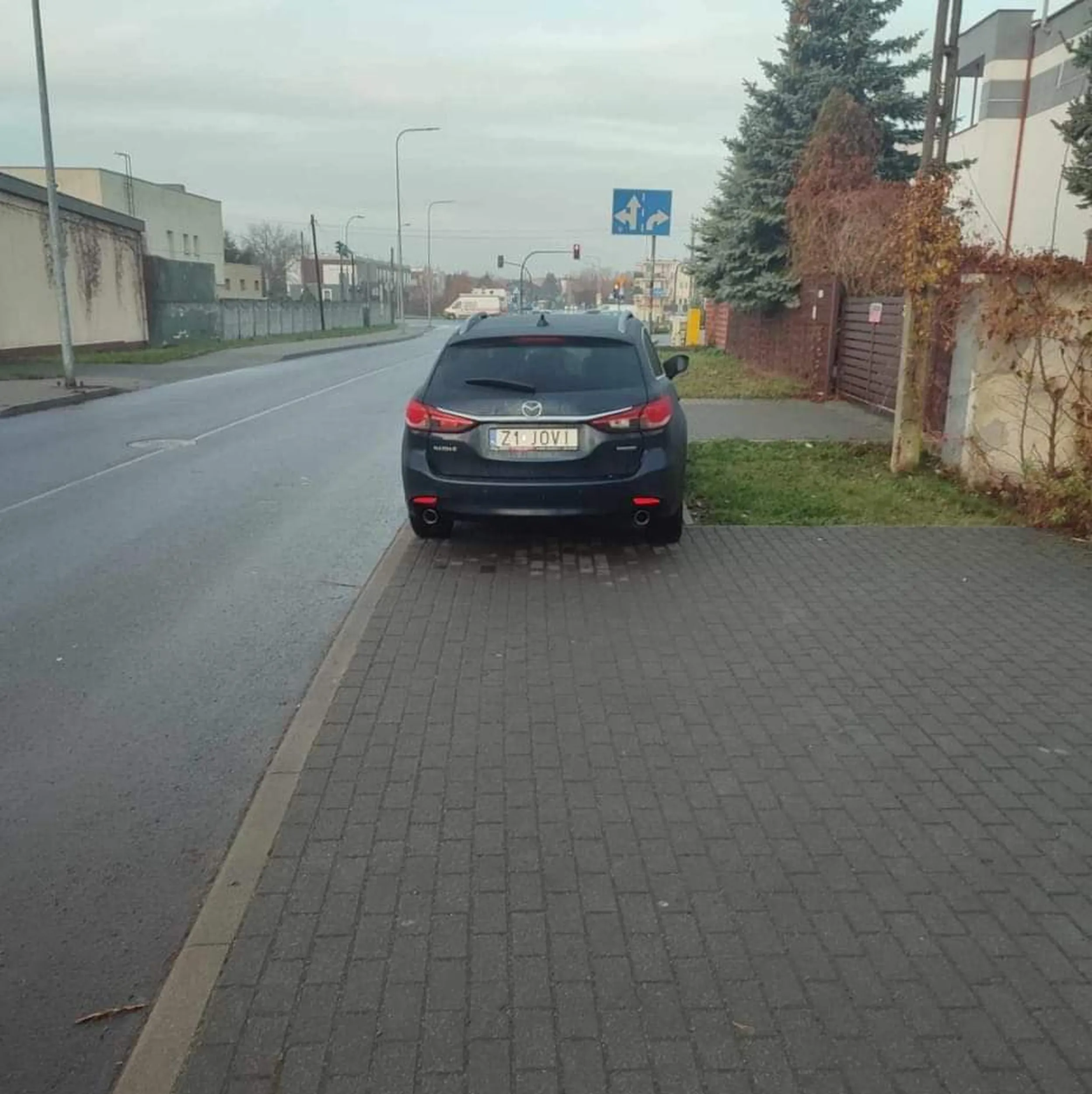 Gamoniu naucz się parkować