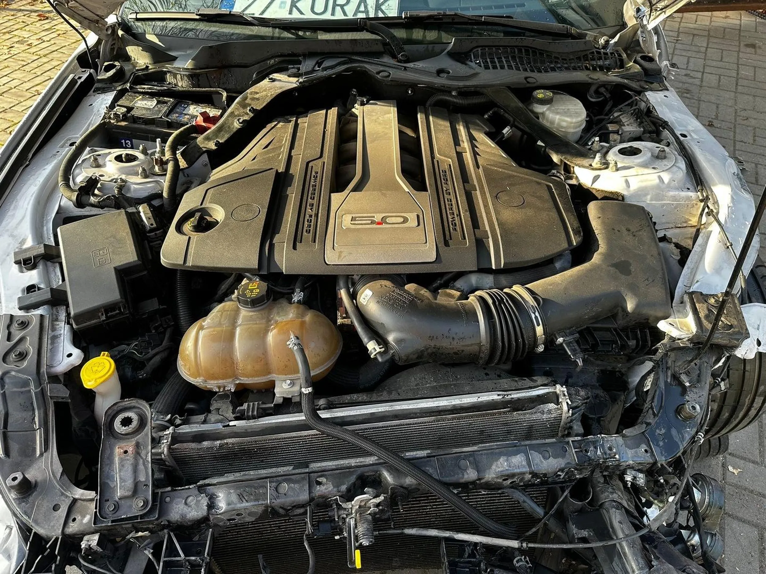 Juz rozdupiony mustang