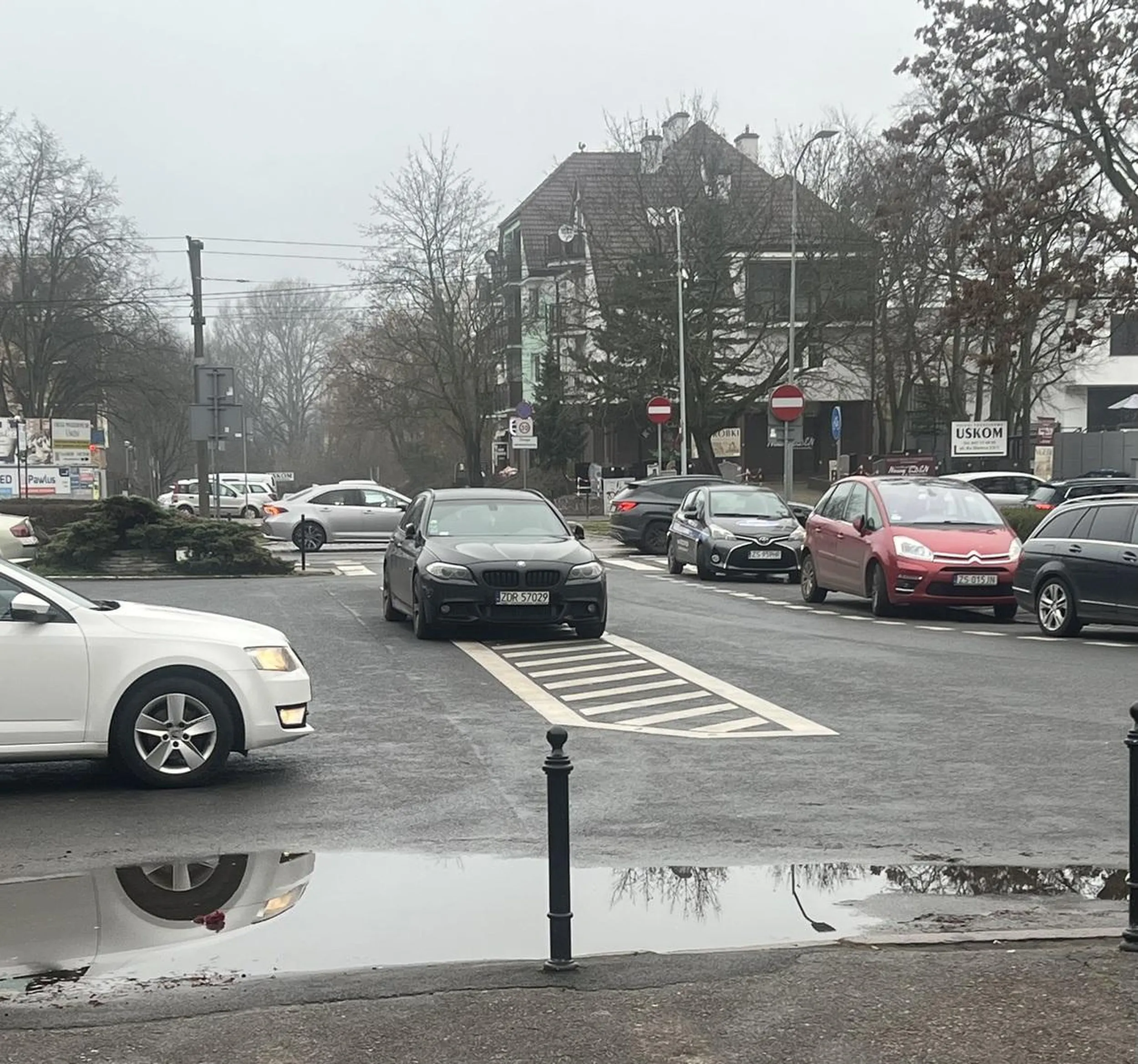 Głupich nie sieją, sami się rodzą.