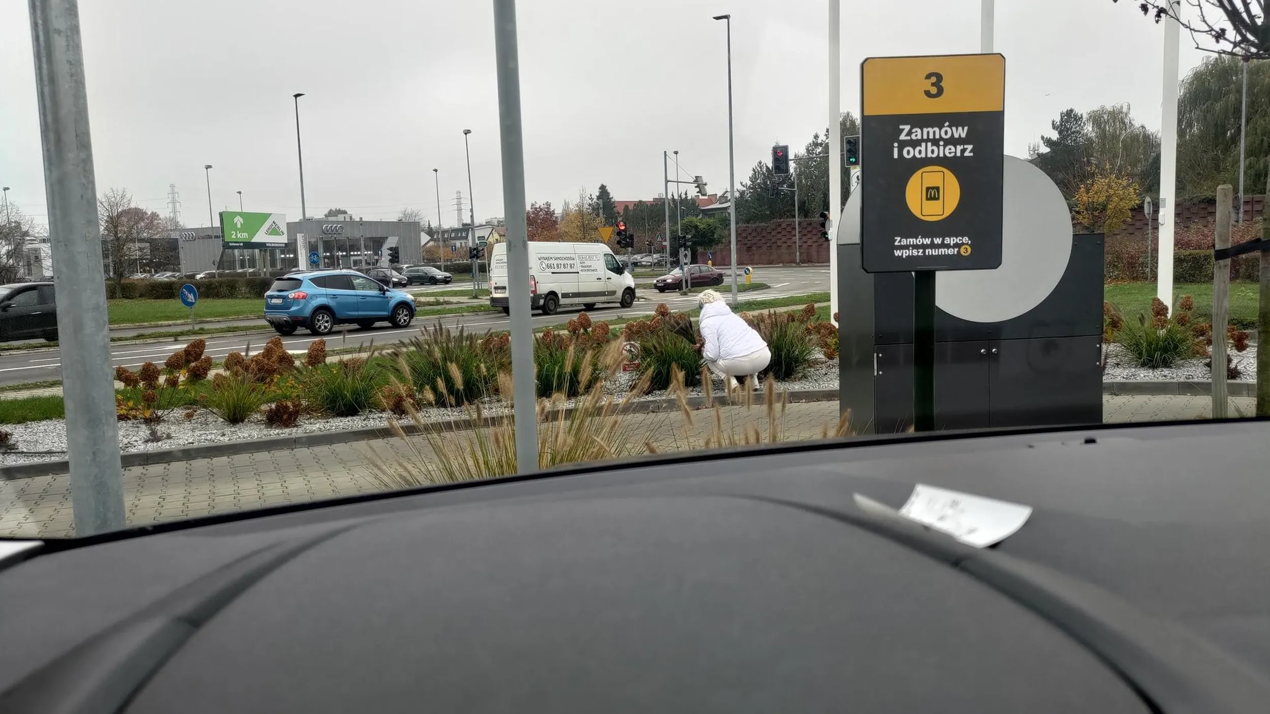 Baba kradła rośliny z parkingu McD przy południowej. XDDDDD
