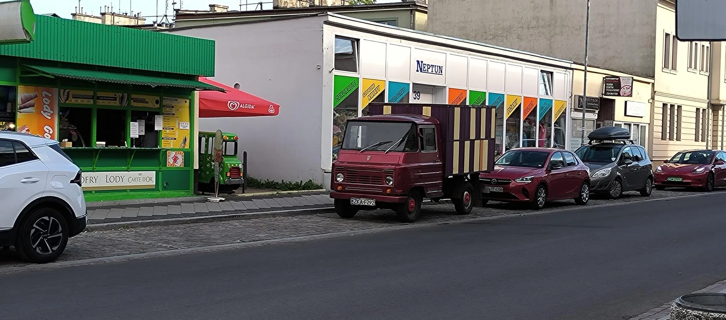 Bardzo ładny Żuczek stojący w Kamieniu