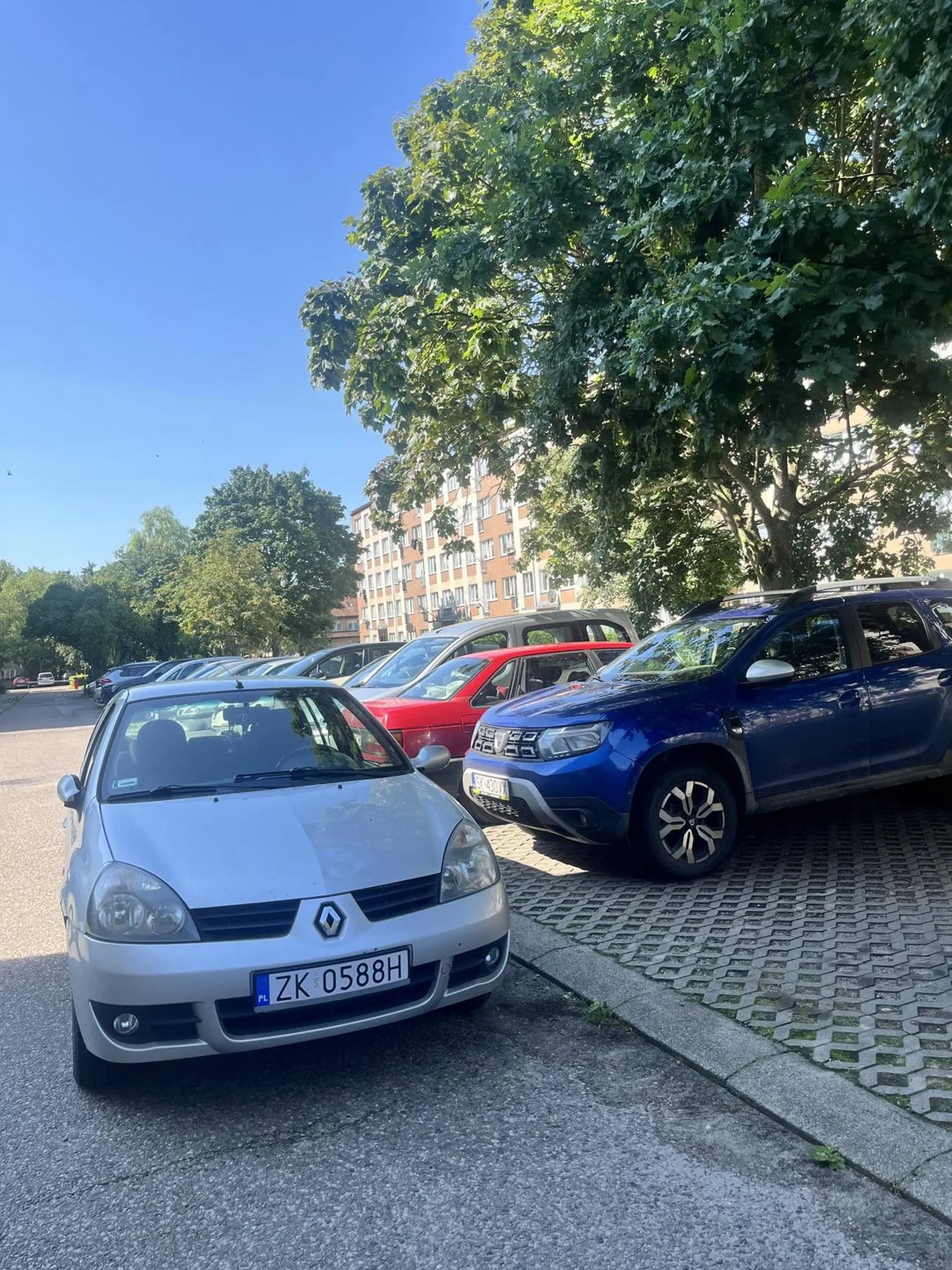 niesamowity sposób parkowania