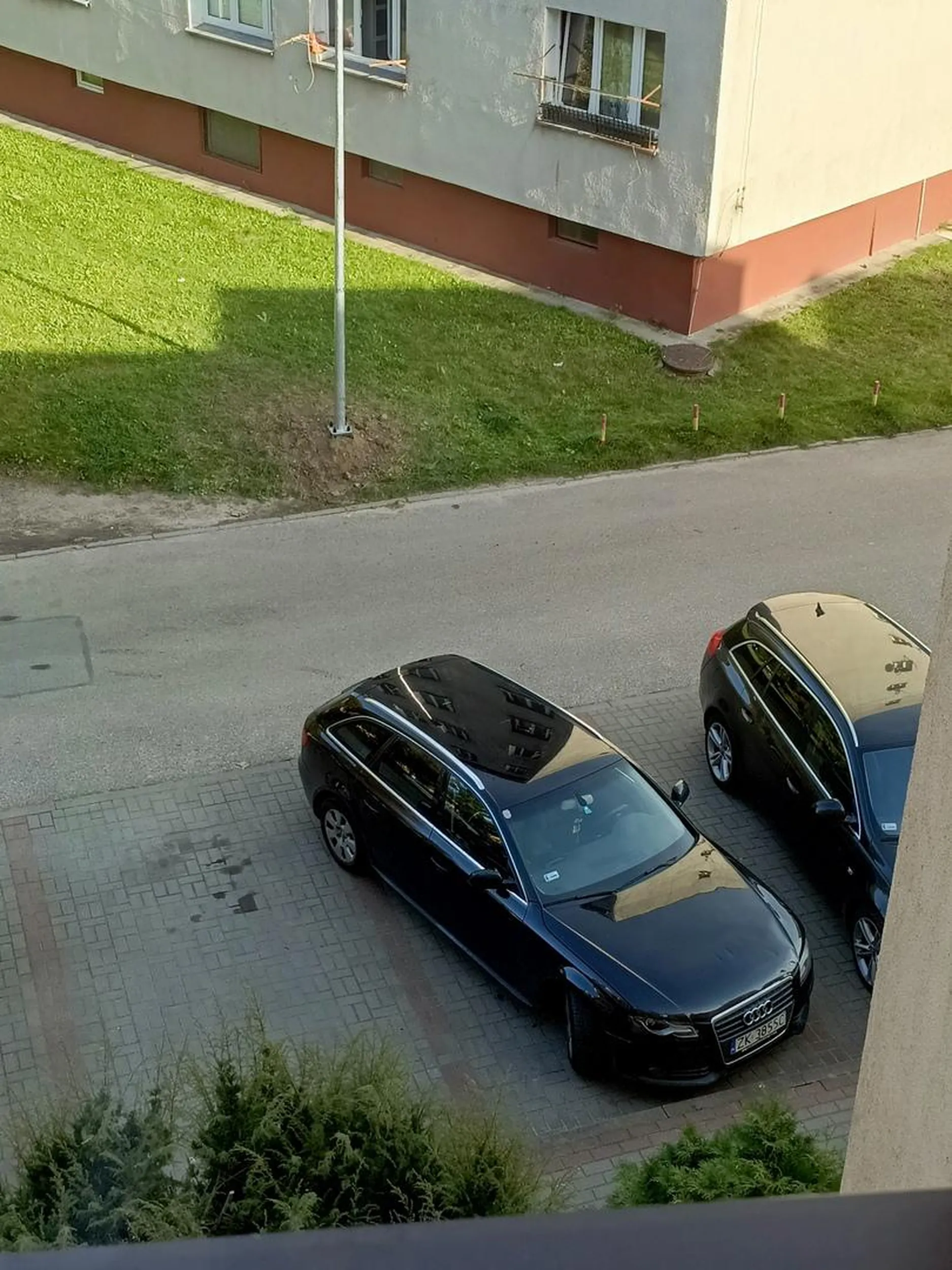 Mistr parkowania , nie ważne inni ważny jestem ja