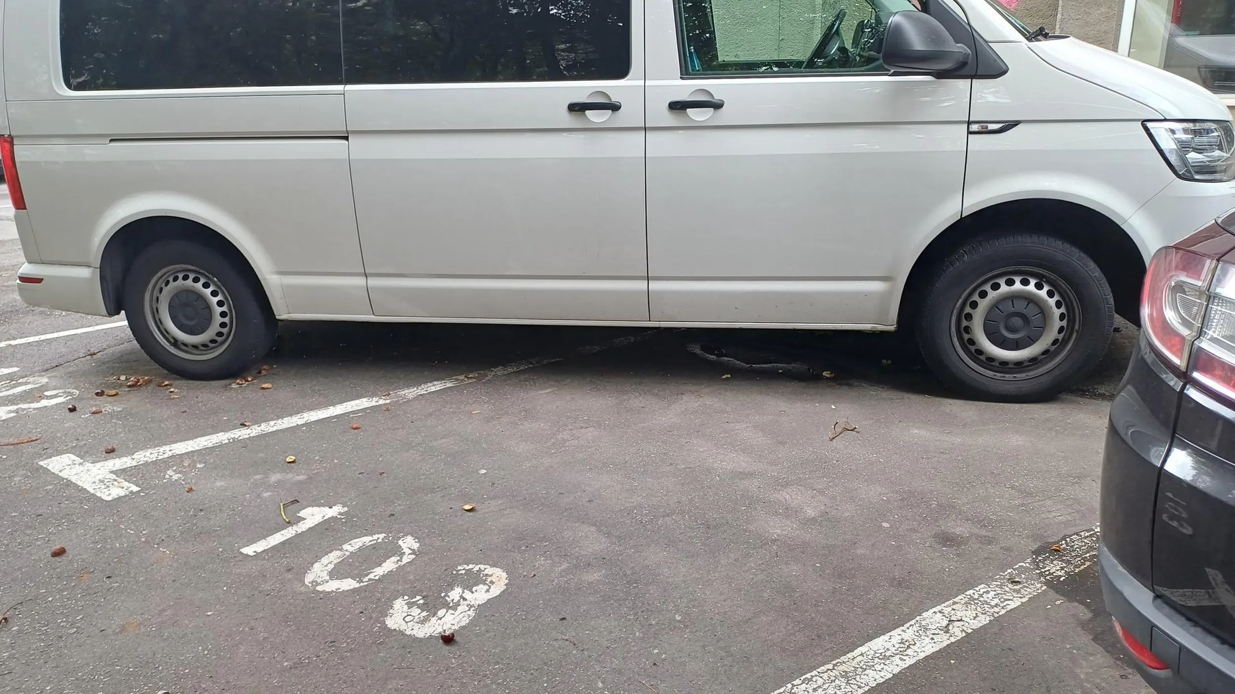 Mistrz parkowania poprostu