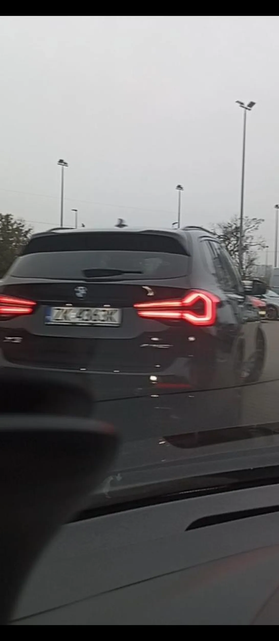 Naucz się tępa cipo używać kierunków