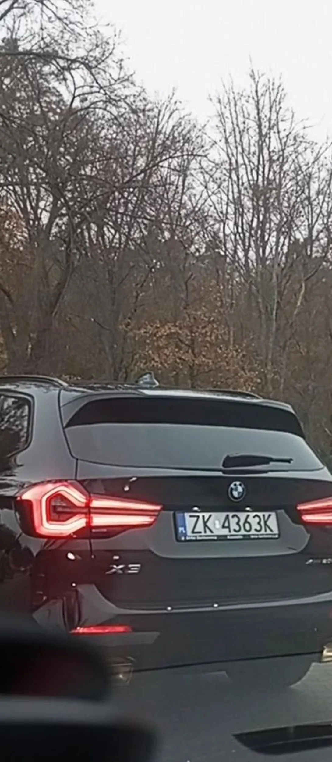 Naucz się tępa cipo używać kierunków