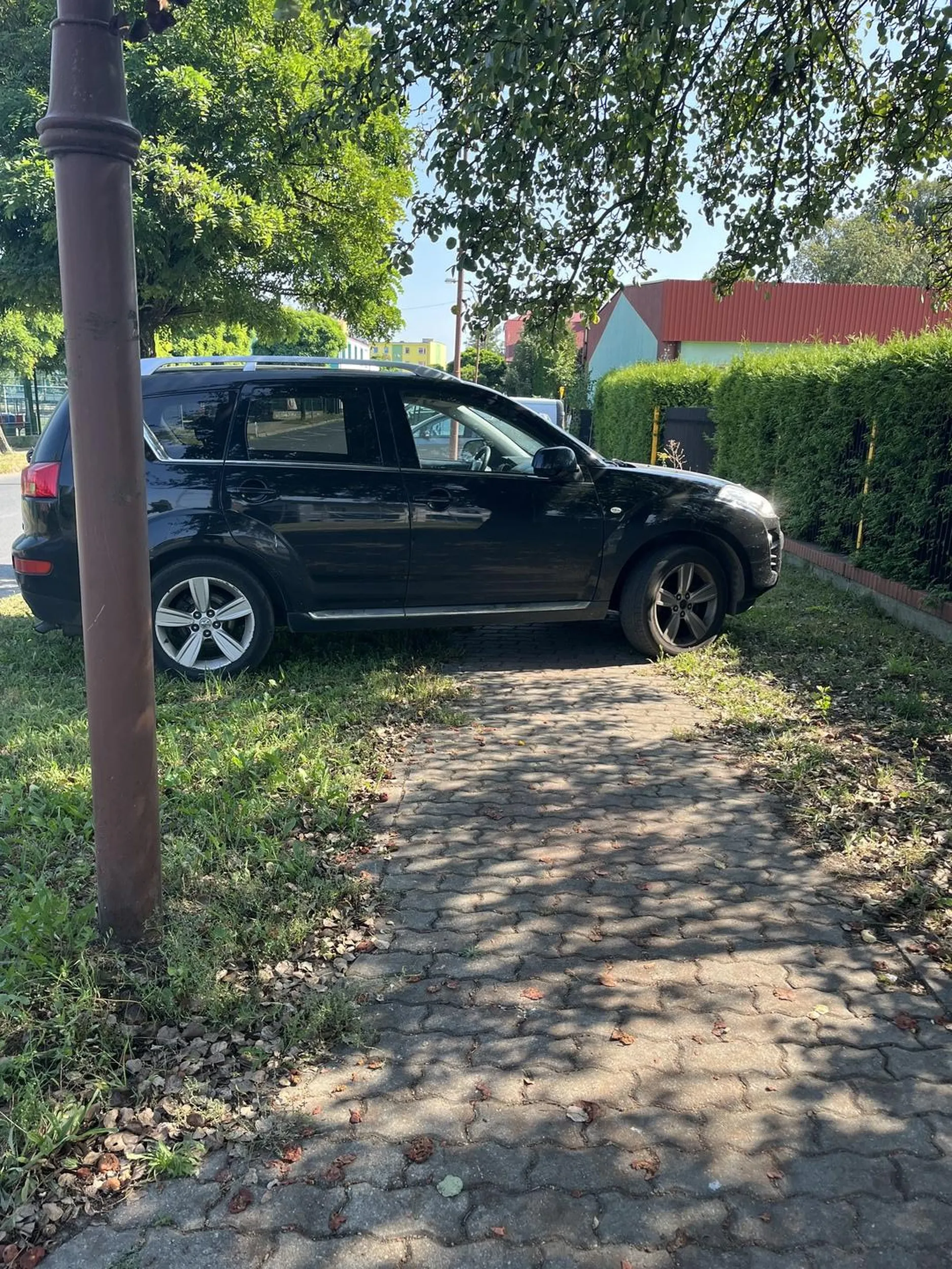 Mistrz Parkowania w mieście.