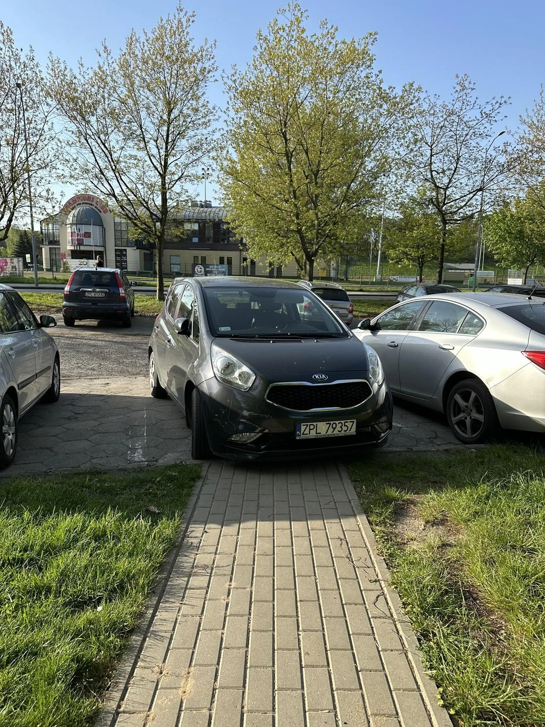 Następnym razem przejadę wózkiem Ci po masce