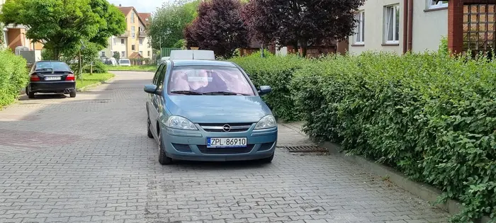 Naucz się parkować deklu, przejście zastawione i połowa drogi