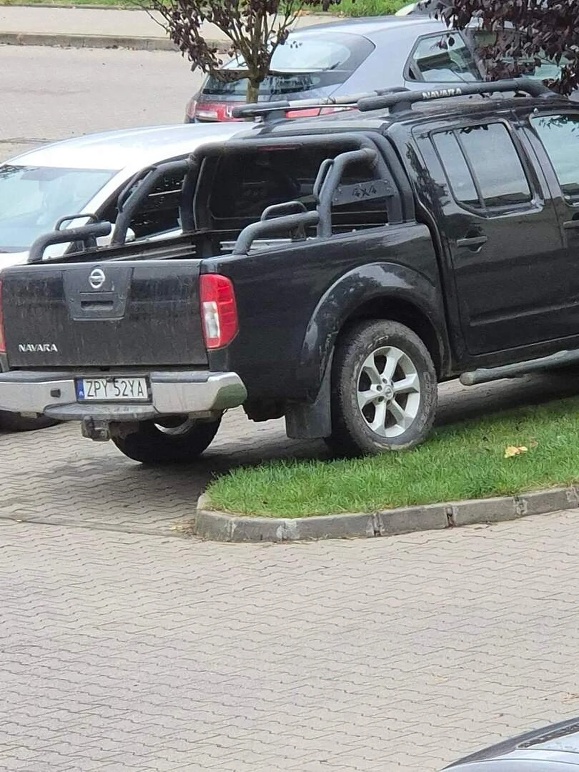 Półgłówek, kupił duży samochód, ale nie umie nim jeździć, notorycznie niszczy zieleń.