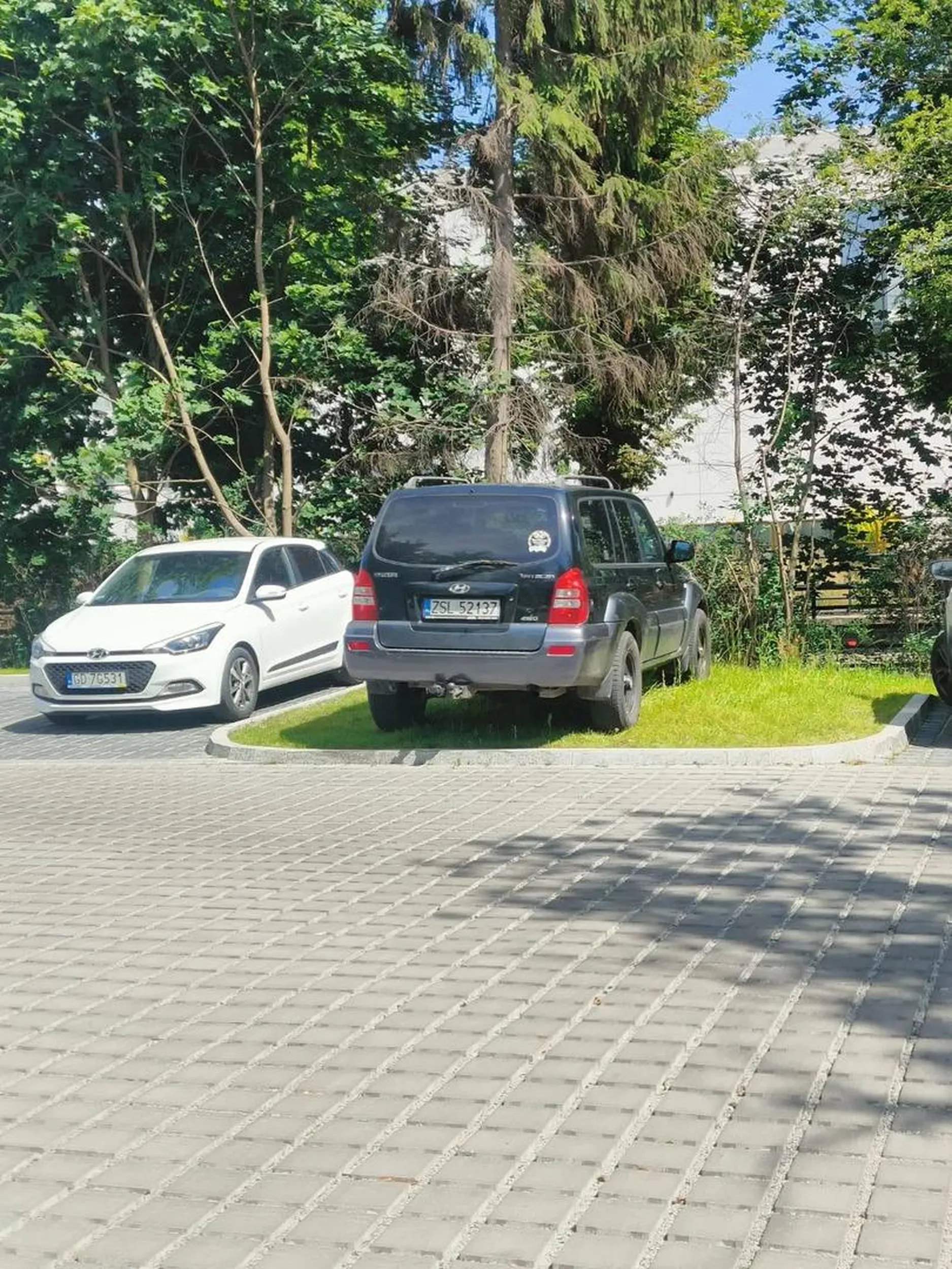 Nowiutki trawnik w Gdańsku vs burak ze Sławna