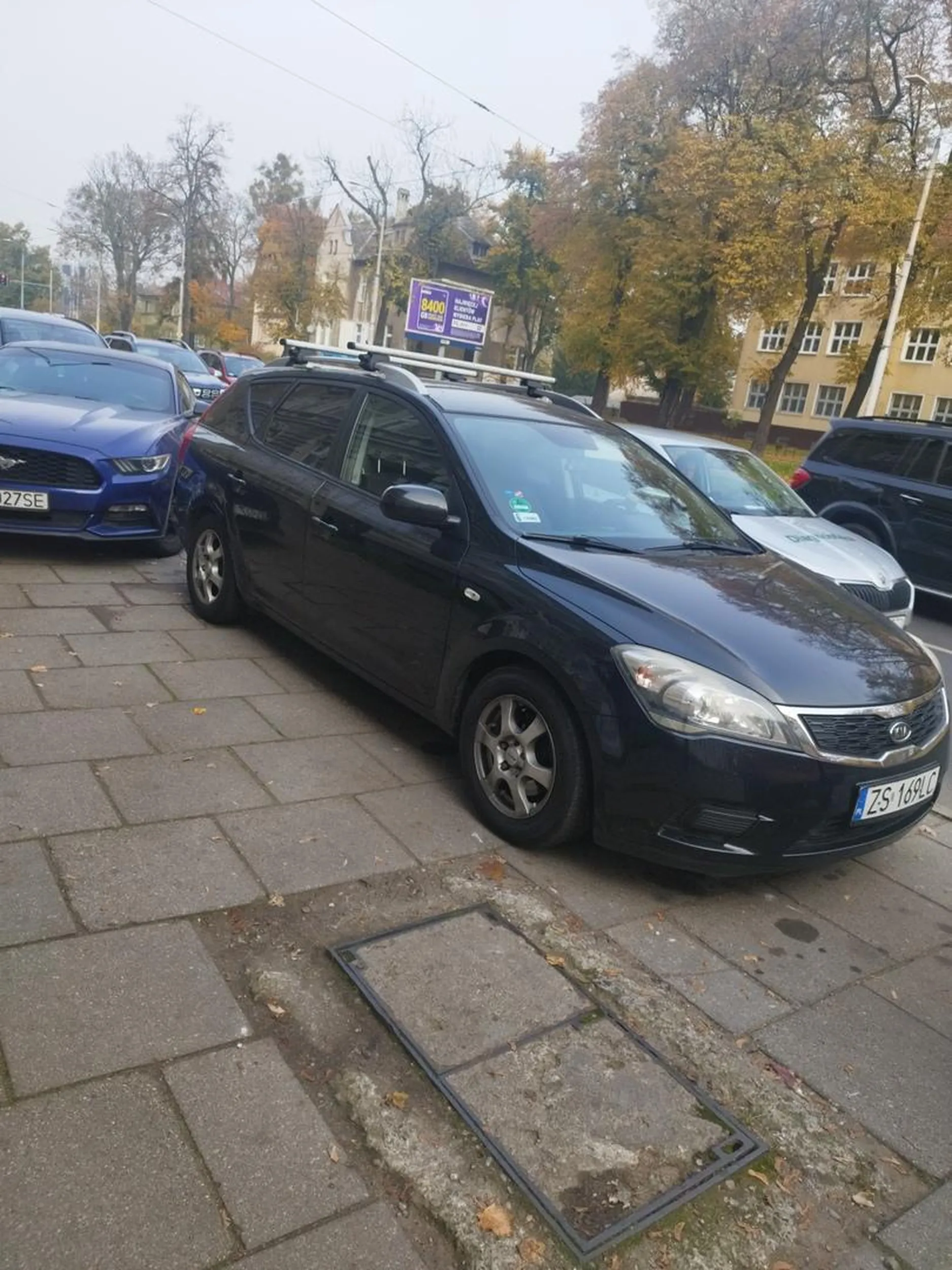 Nie umie parkować w Szczecinie