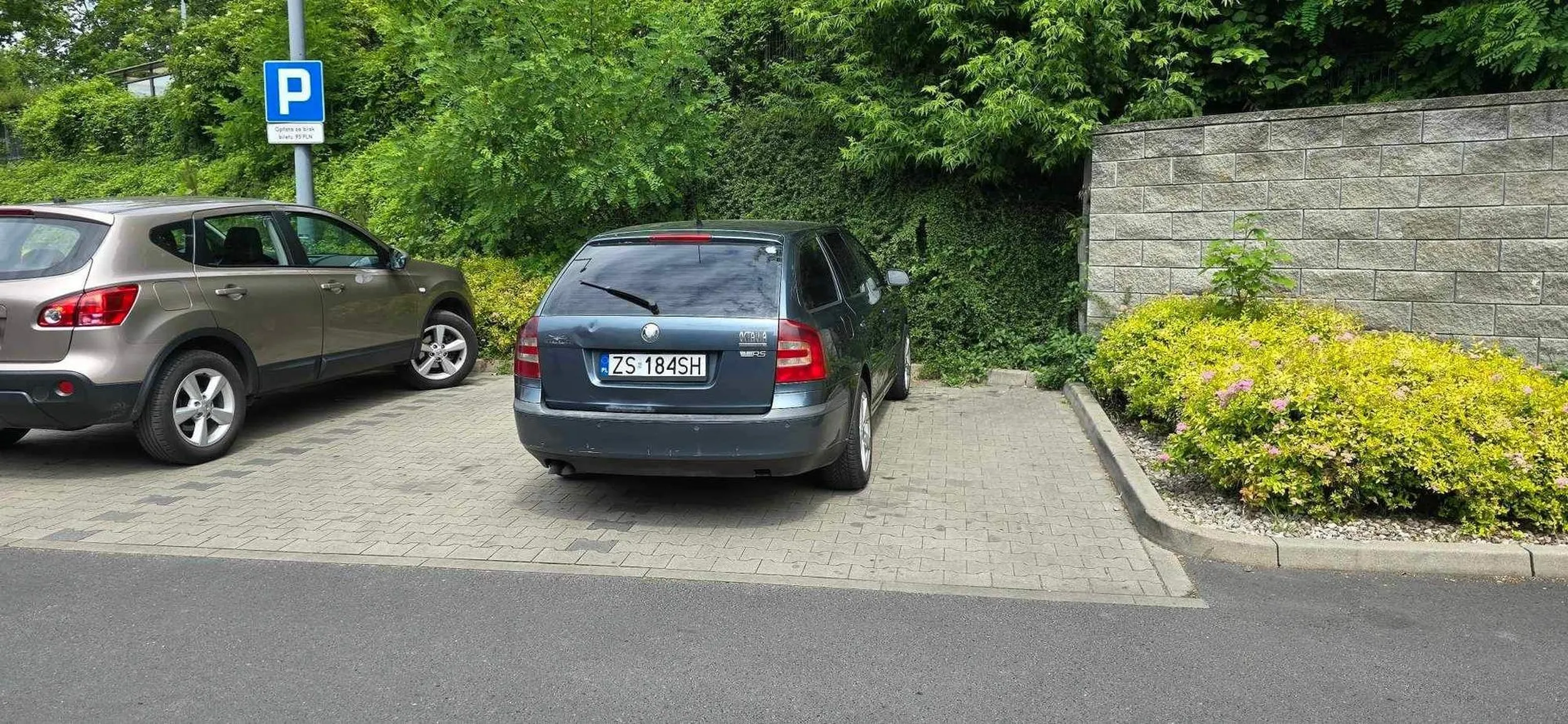 Widać że prawo jazdy wygrane w czipsach nawet parkować nie umie