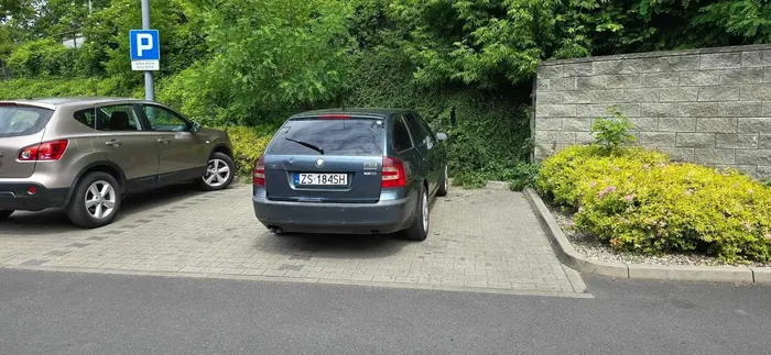 Widać że prawo jazdy wygrane w czipsach nawet parkować nie umie