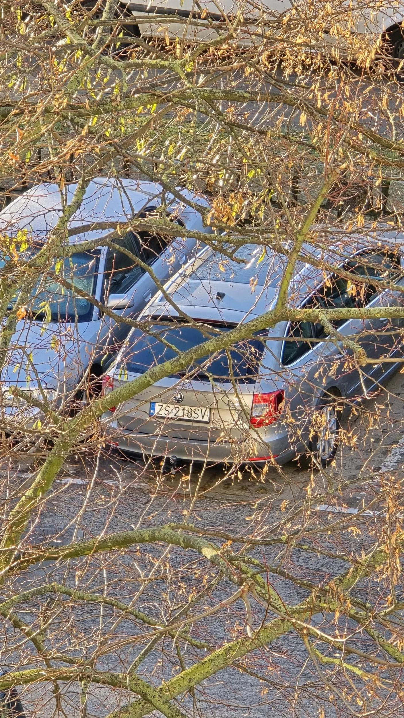 Ciekaw jestem co kierowało tobą parkowanie w taki sposób. Sam miałeś problem w wyjściem z auta... prawko w leysach znalezione. Potem zdziwieni jesteście że porysowane drzwi lub urwane lustra ?