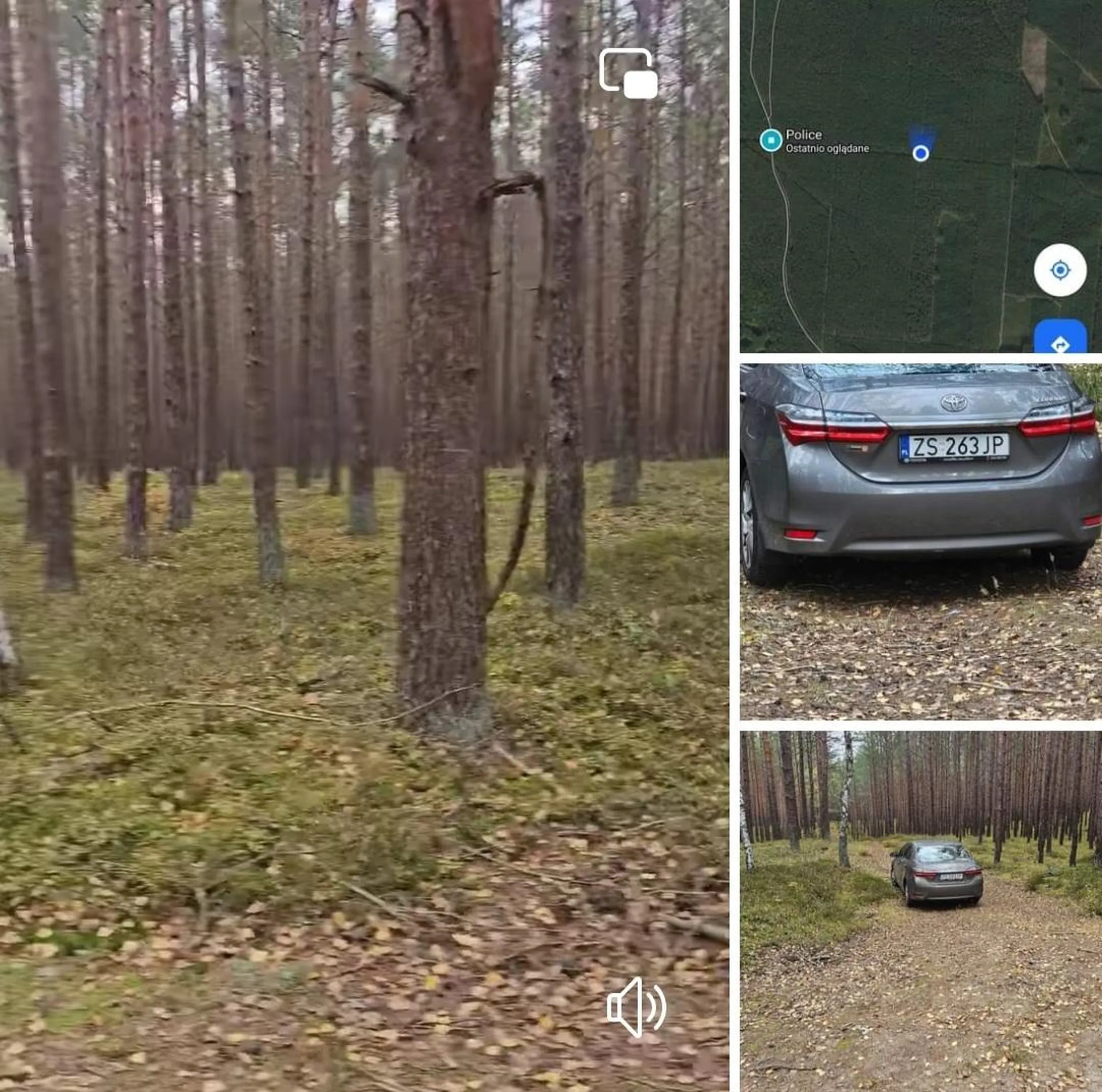 Wjeżdża do lasu pomimo zakazu