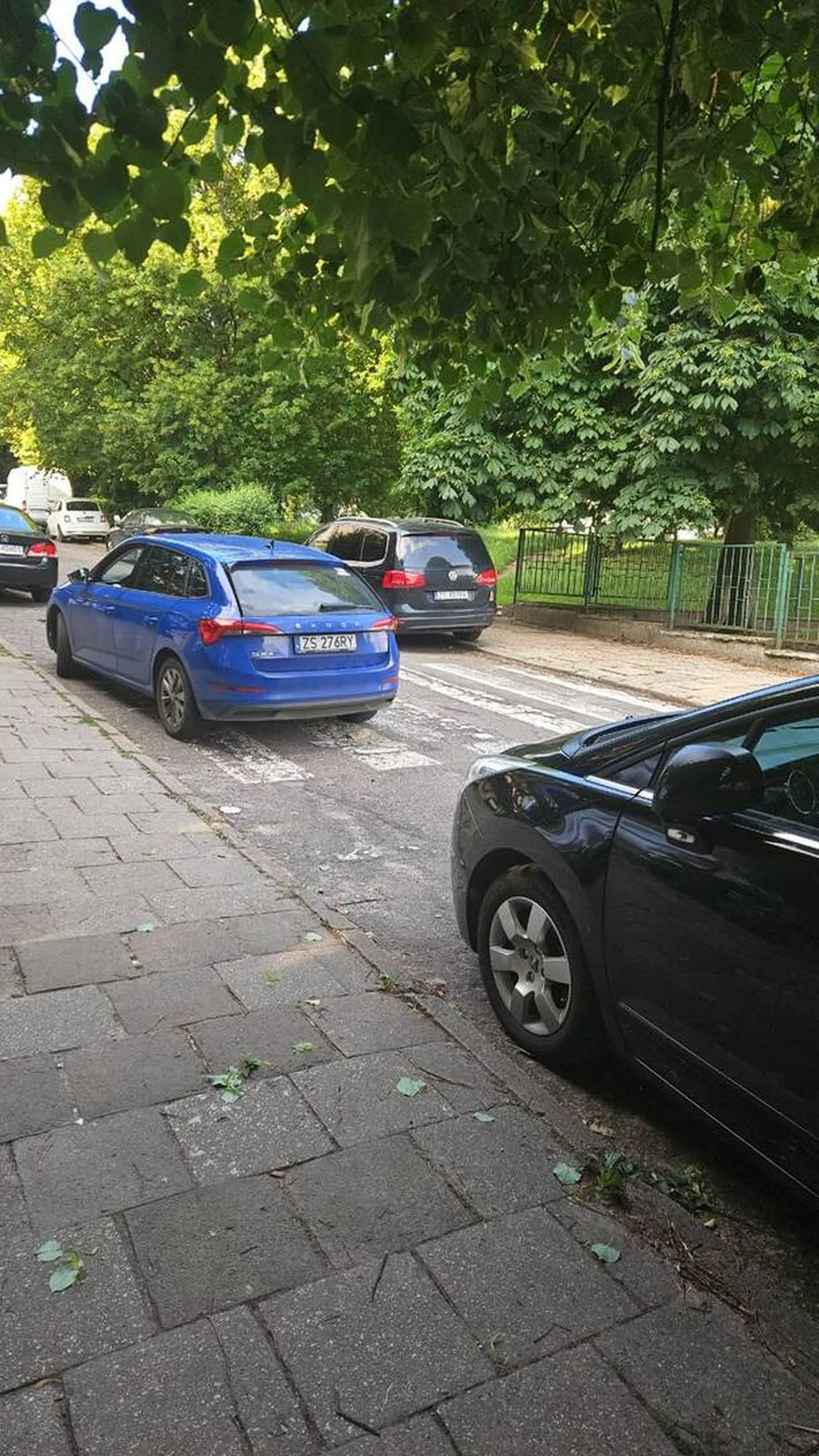 Głupich nie sieją, a zdjęcie to potwierdza. Nie pozdrawiam pani za kierownicą, która wybrała środek przejścia dla pieszych jako miejsce postojowe.