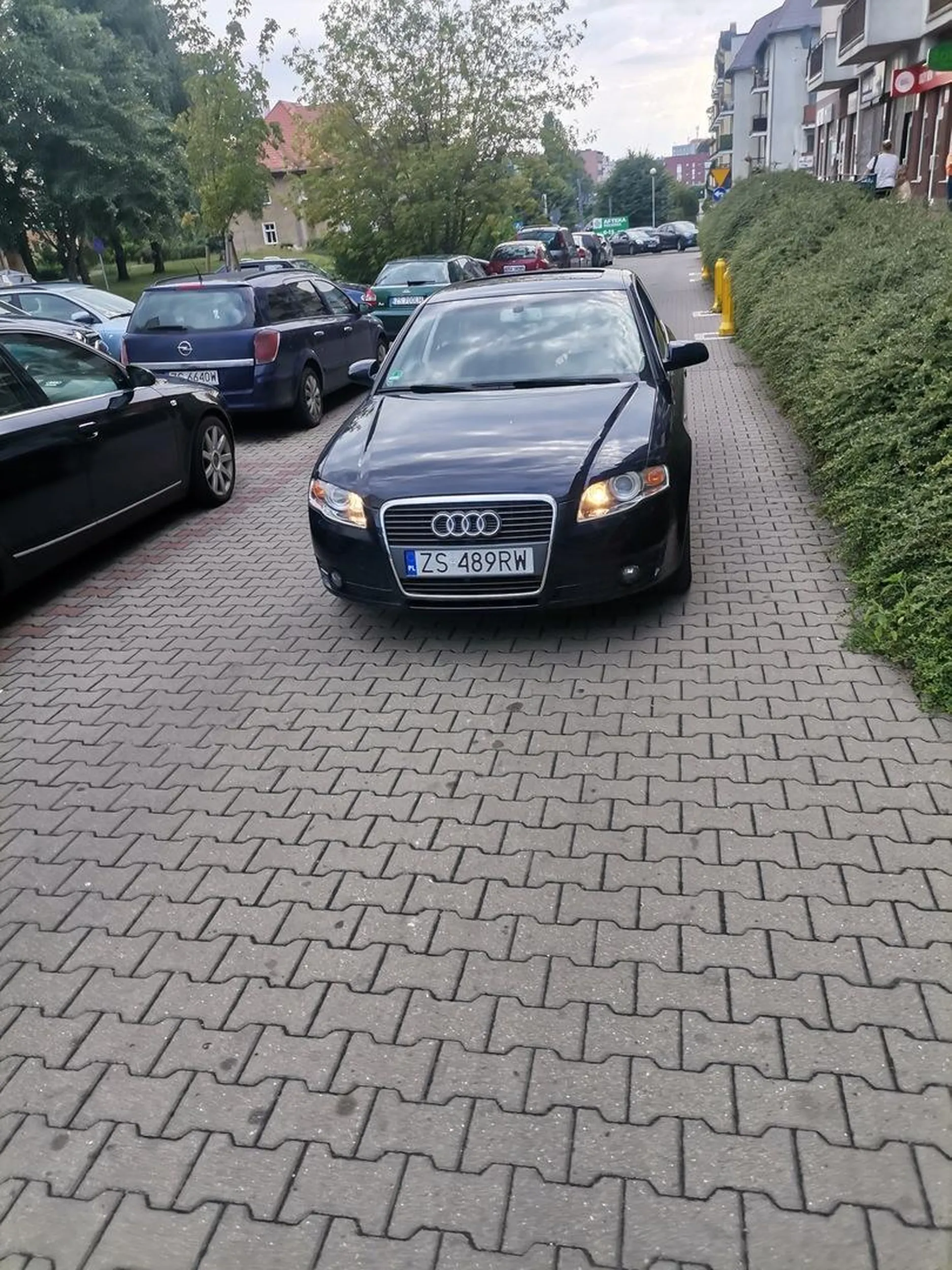 Burak cofać nie umie i na jednokierunkowej jedzie pod prąd. Dodatkowo próbował wymusić przesunięcie auta poprzez machanie ręką jak do psa. Proponuję schudnąć parę kilo to tłuszcz na mózg przestanie uciskać.