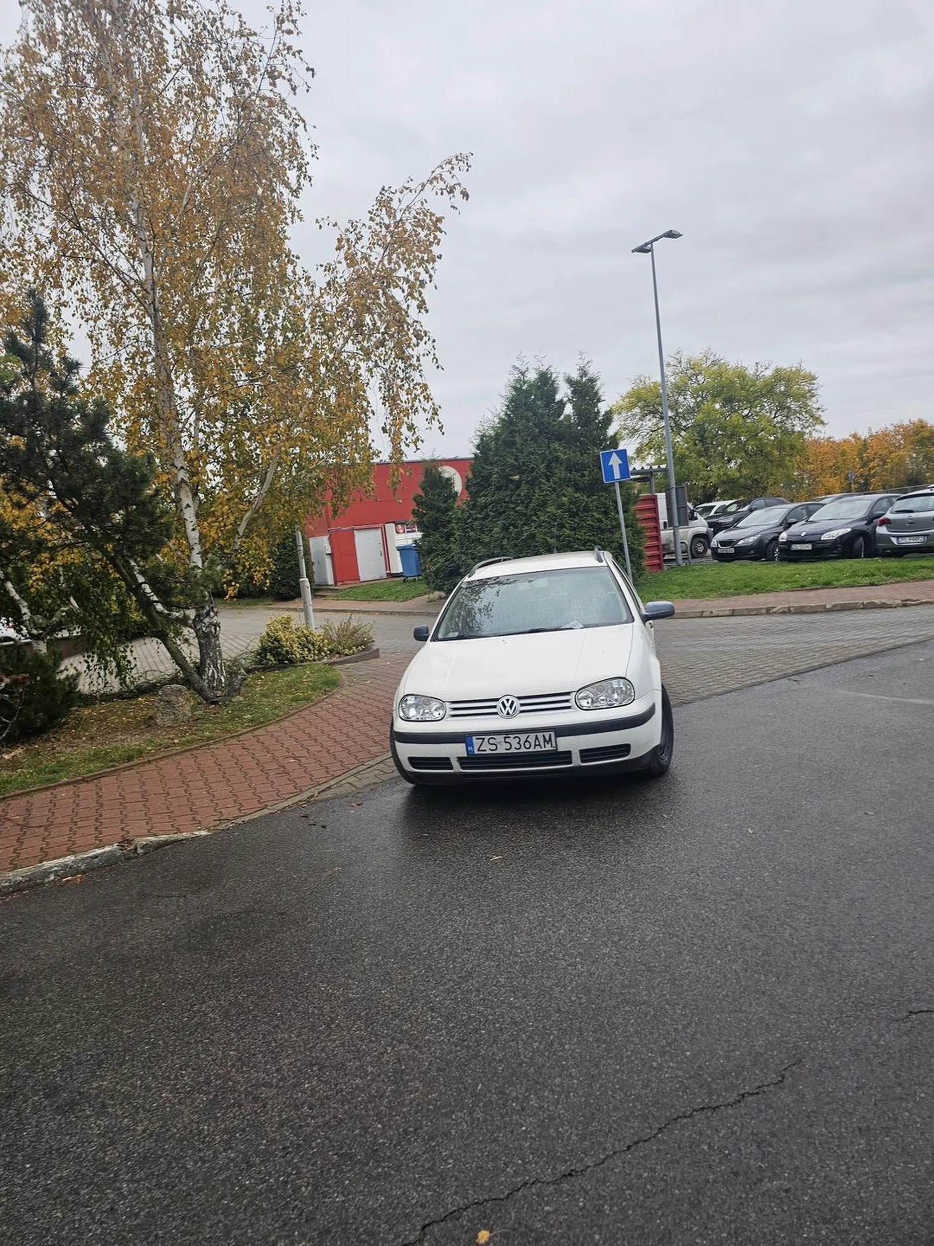 Cudowne zaparkowanie samochodu w wyznaoczym do tego miejscu, tylko dlaczego tam za wycieraczką mandat???