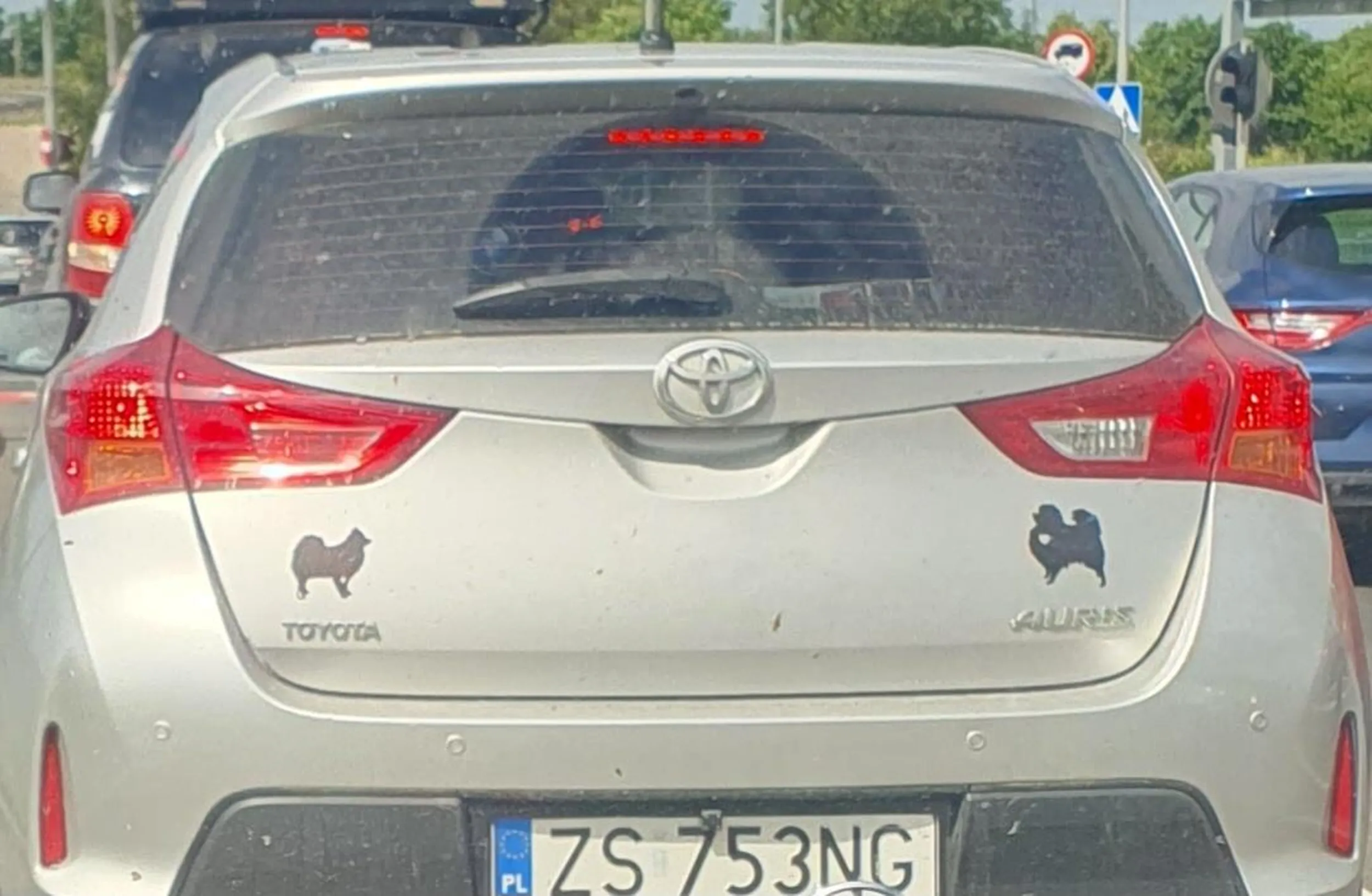 Pirat drogowy. Mężczyzna lat 30/40. Bardzo niebezpieczna jazda. Zajeżdża drogę wjeżdżając przed maskę 1m-1,5m. Nie pozwala się wyprzedzić -- przyśpiesza. Wyhamowuje samochody za sobą.