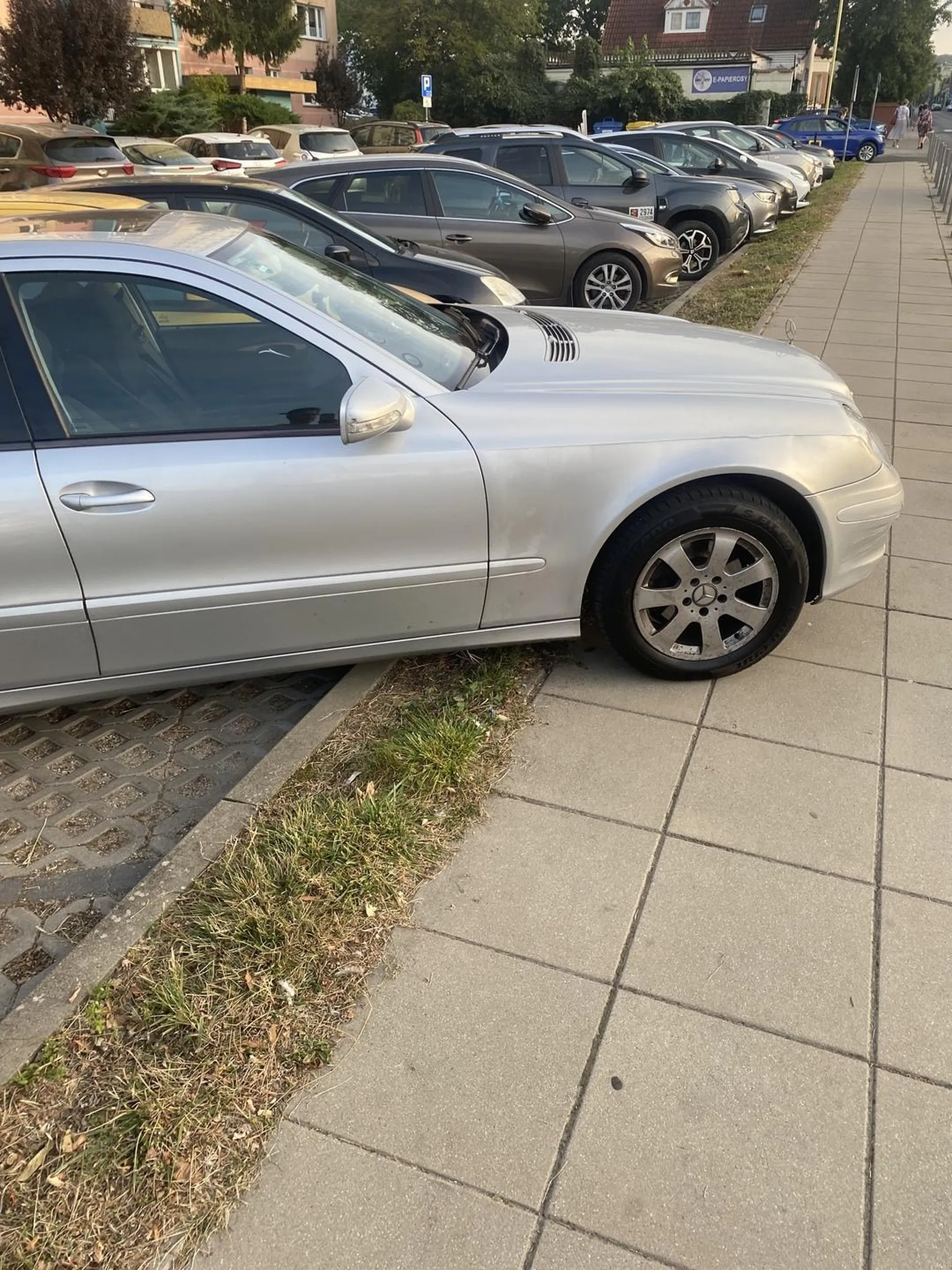 Co za dureń, kto mu wydał prawojazdy