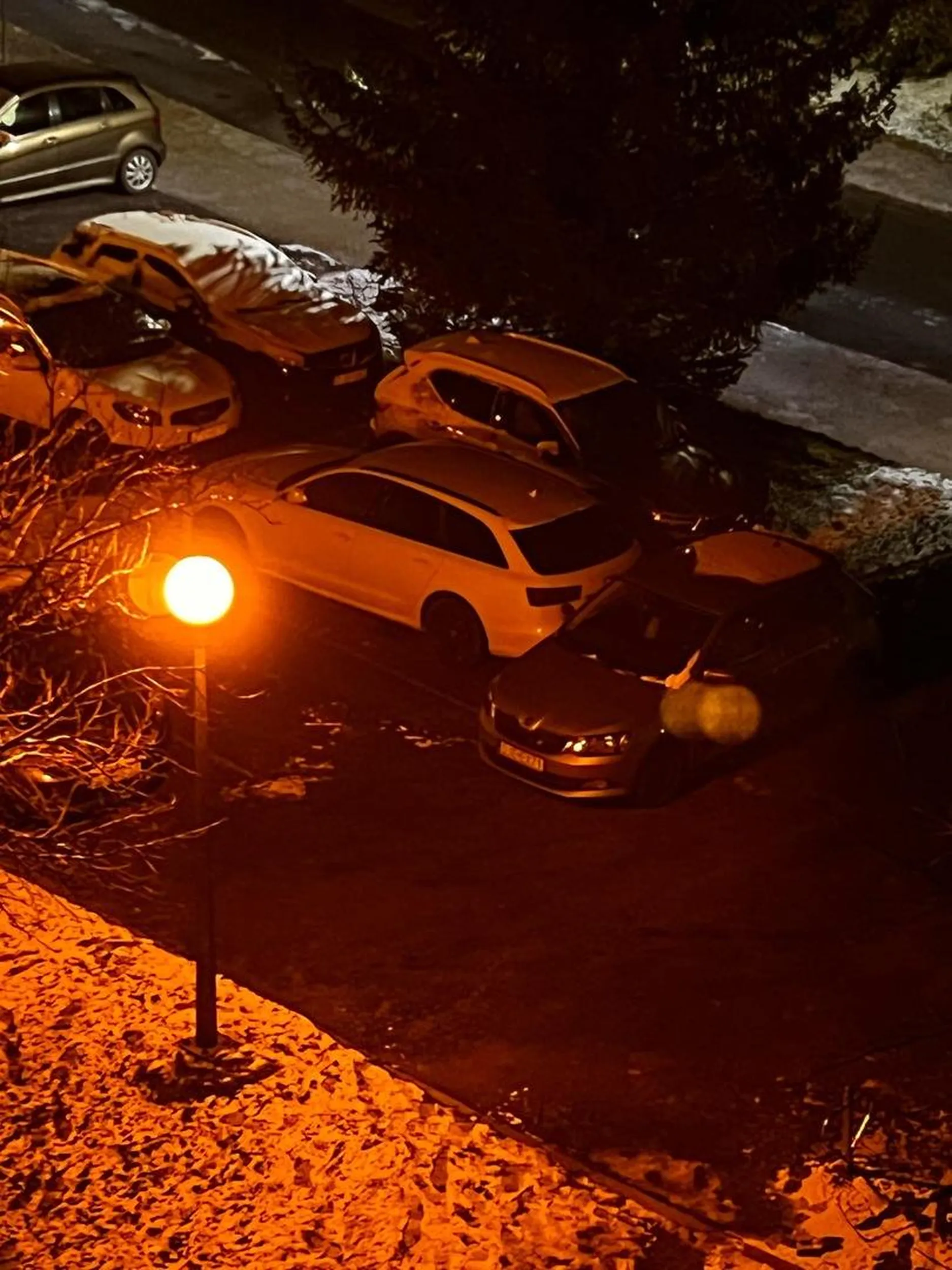 Panie kierowco, kupienie 15 letniego samochodu z czterema pierścieniami na masce nie uprawnia Pana do tak bezczelnego zachowania i głupoty. W nawiązaniu do sytuacji ze Szklarskiej Poręby zalecam panu udanie się do poradni psychiatrycznej w której może jeszcze uda sie Panu pomóc. Zaparkowałeś Pan na prywatnym miejscu mieszkańca bloku, gdzie wjedzając na parking jest informacja o terenie prywatnym. Gdy mieszkanka Pana zastawiła wracając z pracy, Pan po powrocie do swojego auta uszkodził jej samochód, oblał szybę mlekiem i bezczelnie zwyzywał gdy wyszła z bloku i myślał Pan że jest straszny przez swój łysy łep. Szanowny Panie łysy informuje że jak dowiem się gdzie Pan mieszka osobiście przyjadę i zaparkuje panu pod drzwiami szambiarkę a jeśli będzie posiadał Pan więcej miejsc to i śmieciarkę przywiozę i może wtedy Pan zrozumie co to znaczy PRYWATNE MIEJSCE PARKINGOWE. Dla jeszcze lepszych wrażeń czytających dodam że chwile dalej jest parking miejski z zawsze dostepnymi miejscami tylko trz