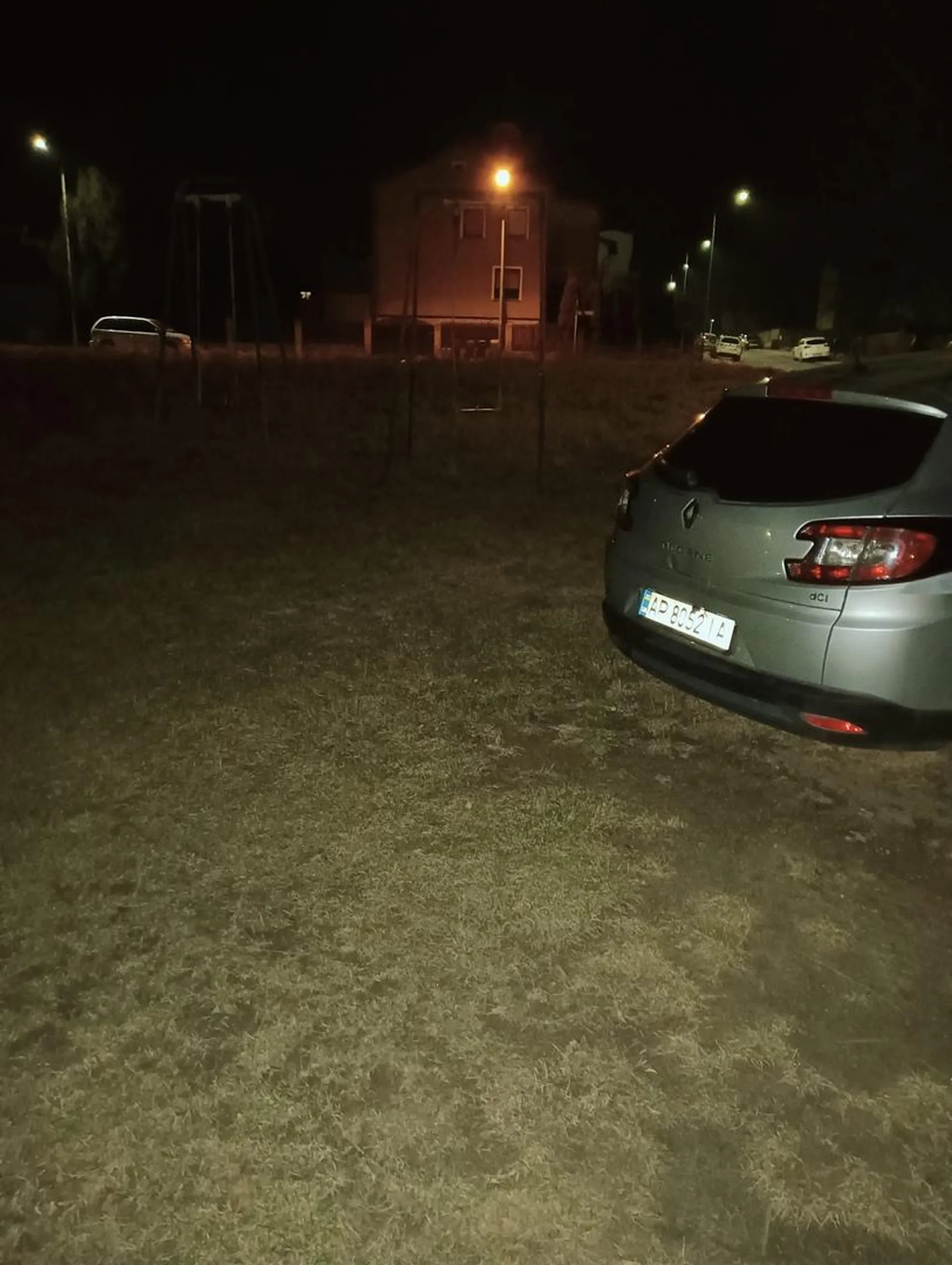 małpa stoi na placu zabaw