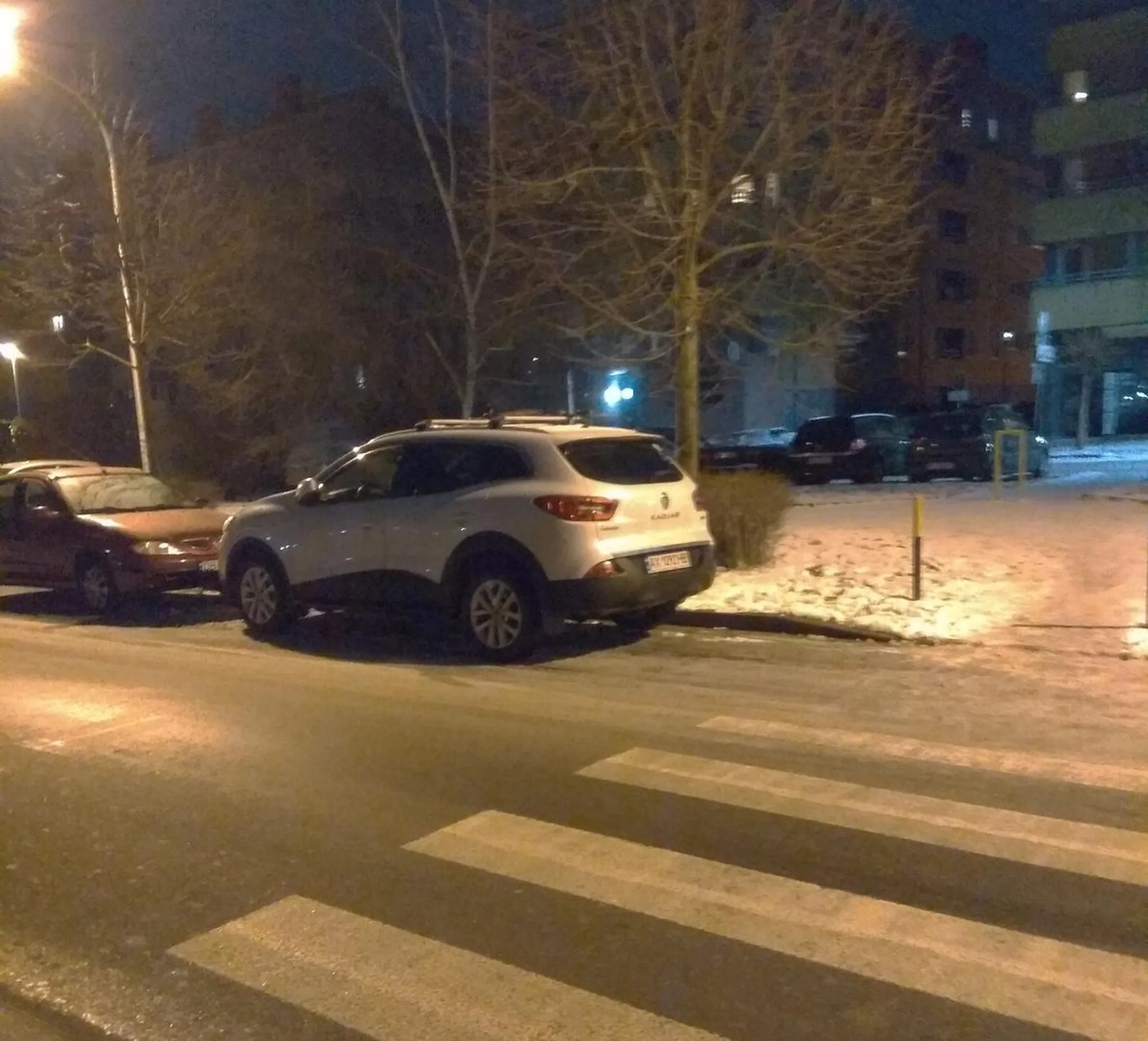 Malpa się nigdy nie nauczy