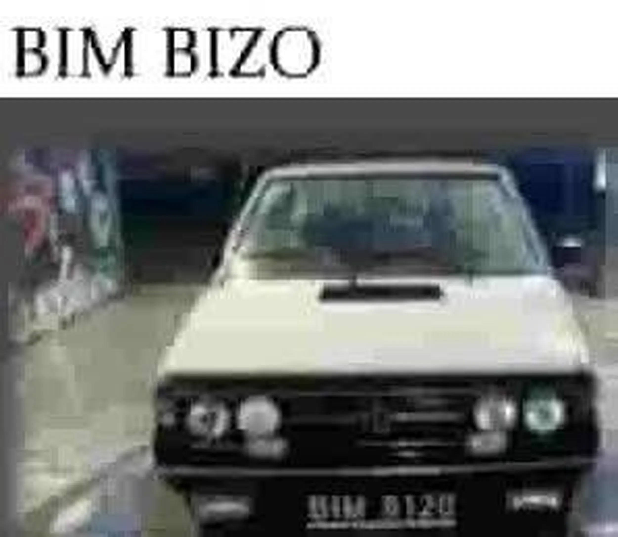 BIM BIZO