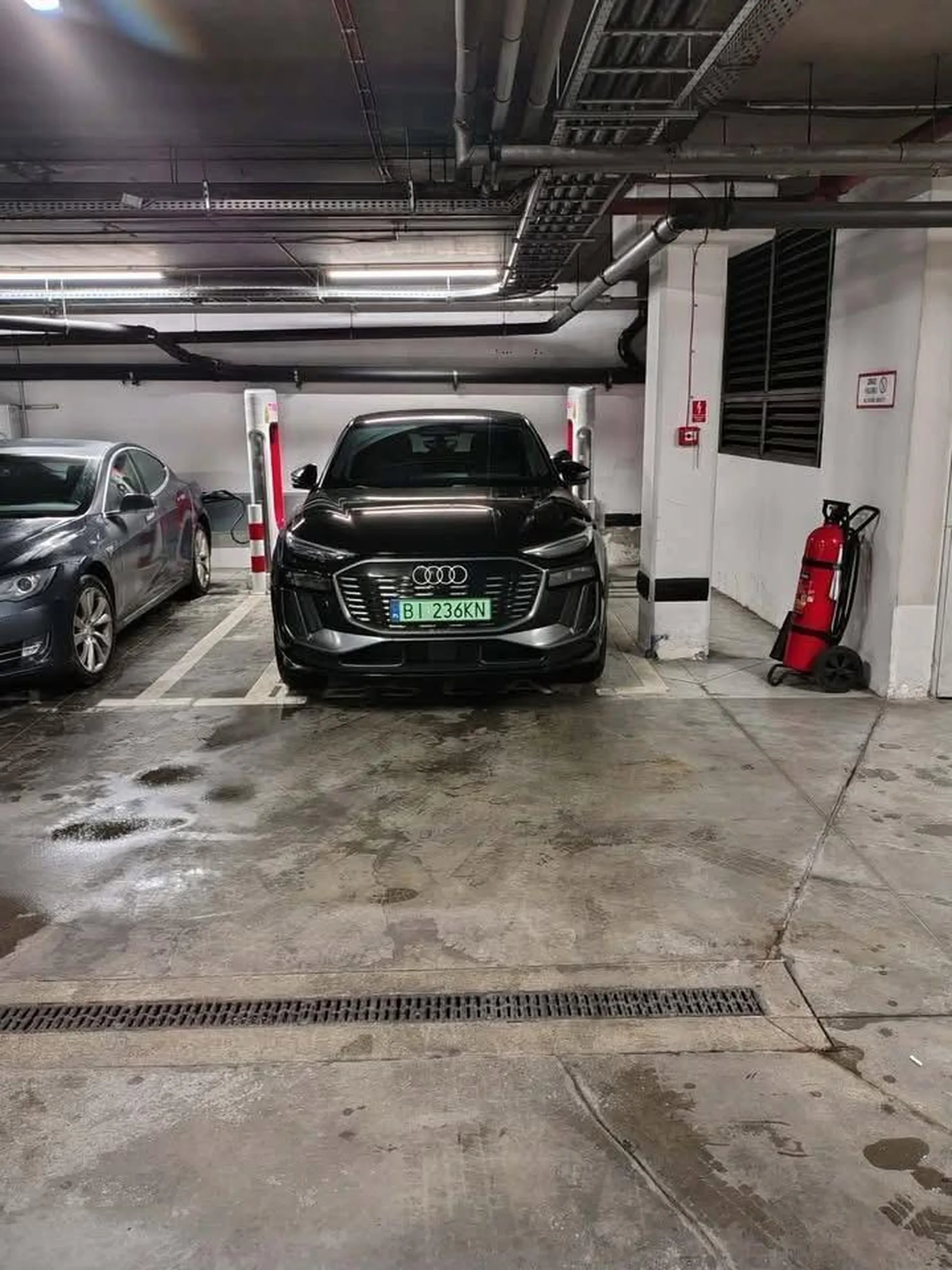 Blokuje ładowarki a się nie ładuje, zwykły mały si..ak. Wiecie co z nim robić jak spotkacie ponownie