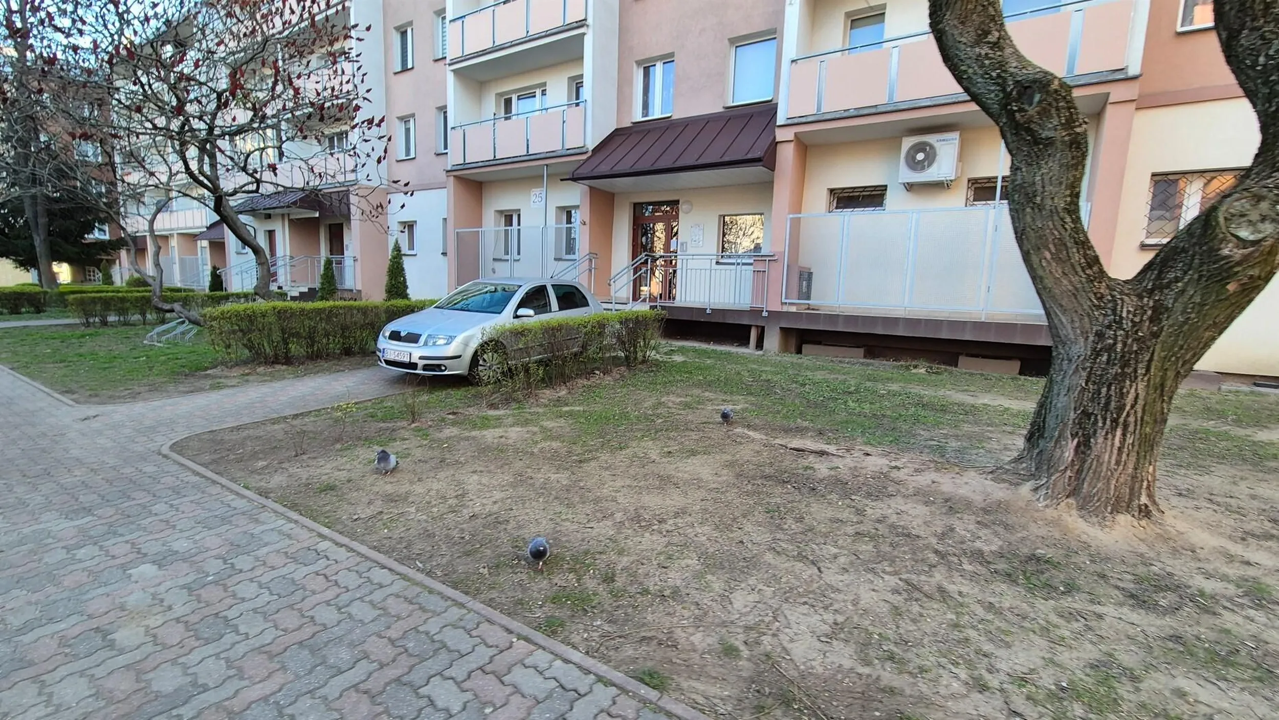 Trzeba było do sypialni wjechać! ?