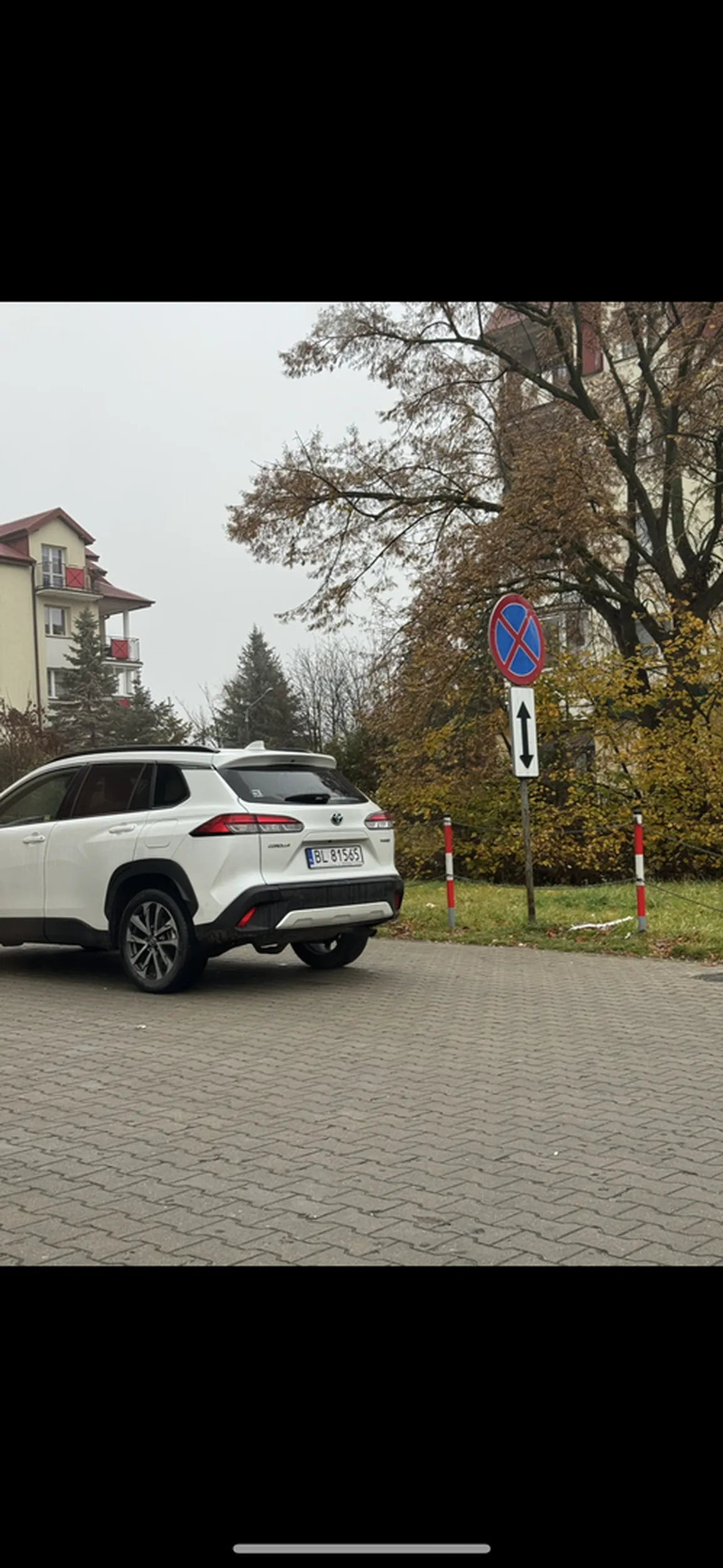 Na zakazie zatrzymania? Stara babo mandat 500 zł. Sprawę zgłaszam na policję.