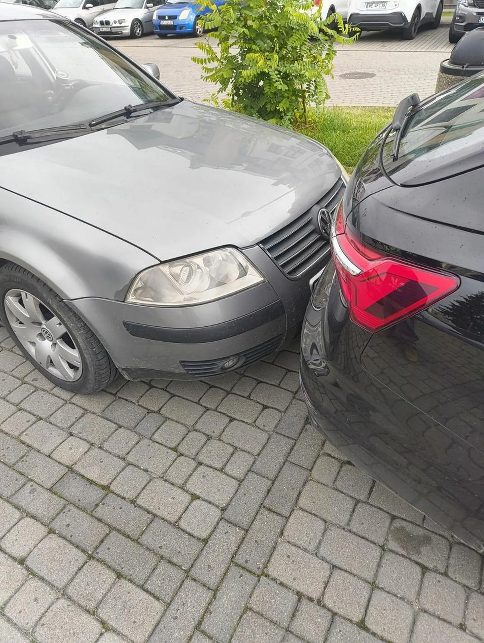 Tym starym passatem nie umie parkować śmieć