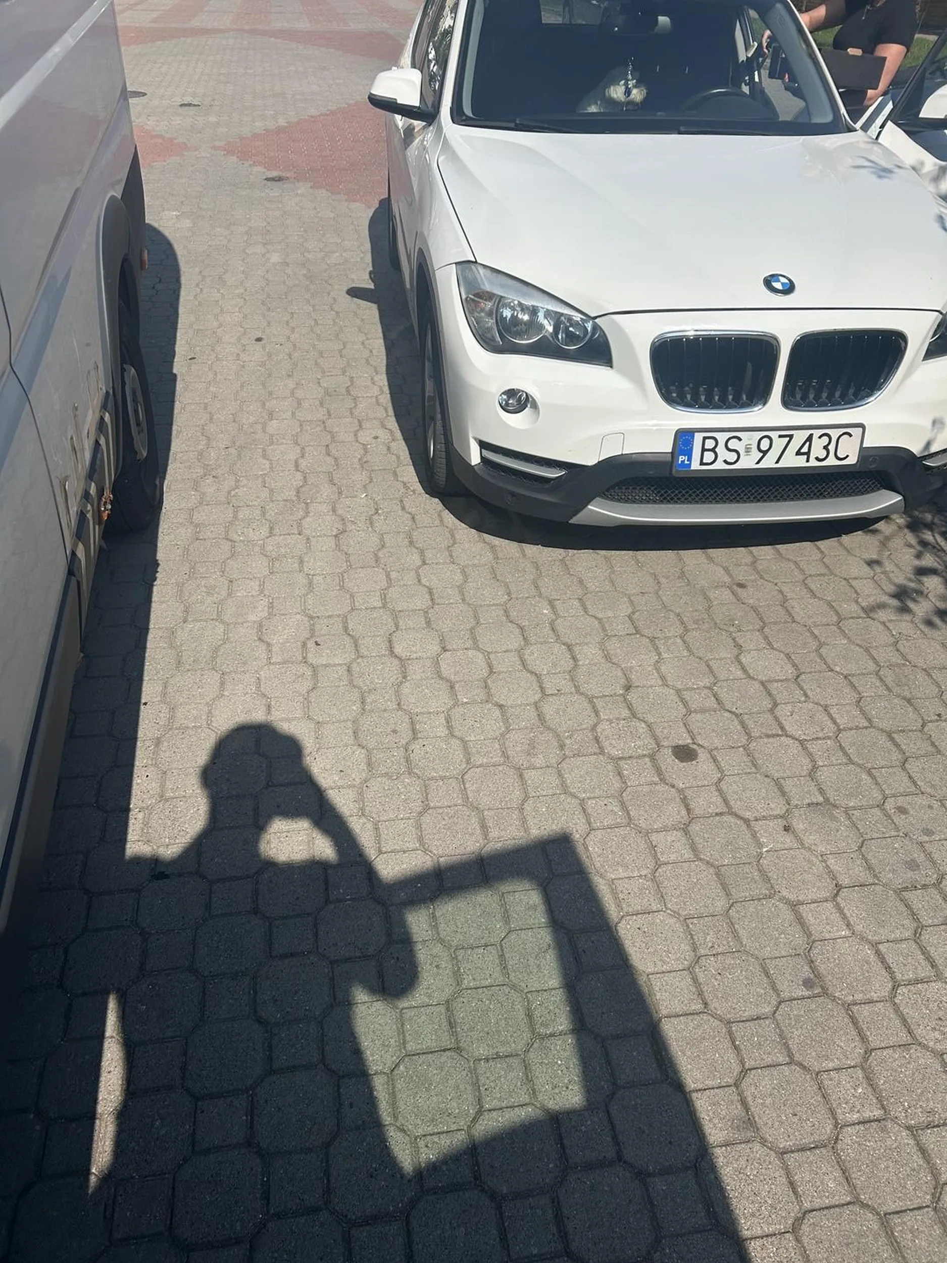 Pani pies wpierw wlecial mi prawie pod koła a potem do mnie zaczęła szczekać że jeżdżę za szybko. Potem uderzyła mi w busa a na koniec jak jechałem ulice dalej wyprzedziła mnie na osiedlu przed pasami. Jeżeli to czytasz naucz się pokory i zacznij psa na smyczy trzymać ;)