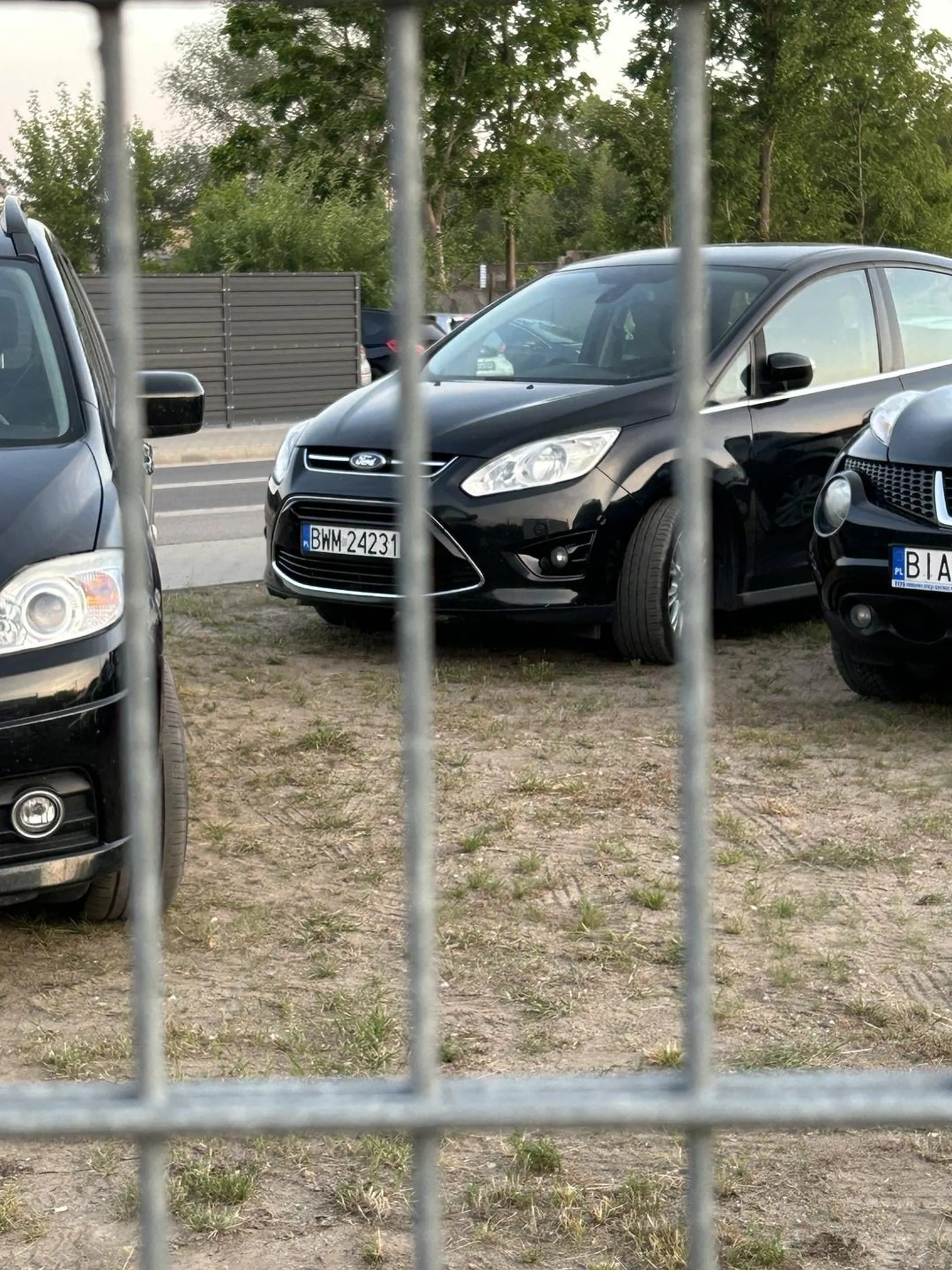 Bałwan parkuje na pasie zieleni naucz się tłumanie parkować